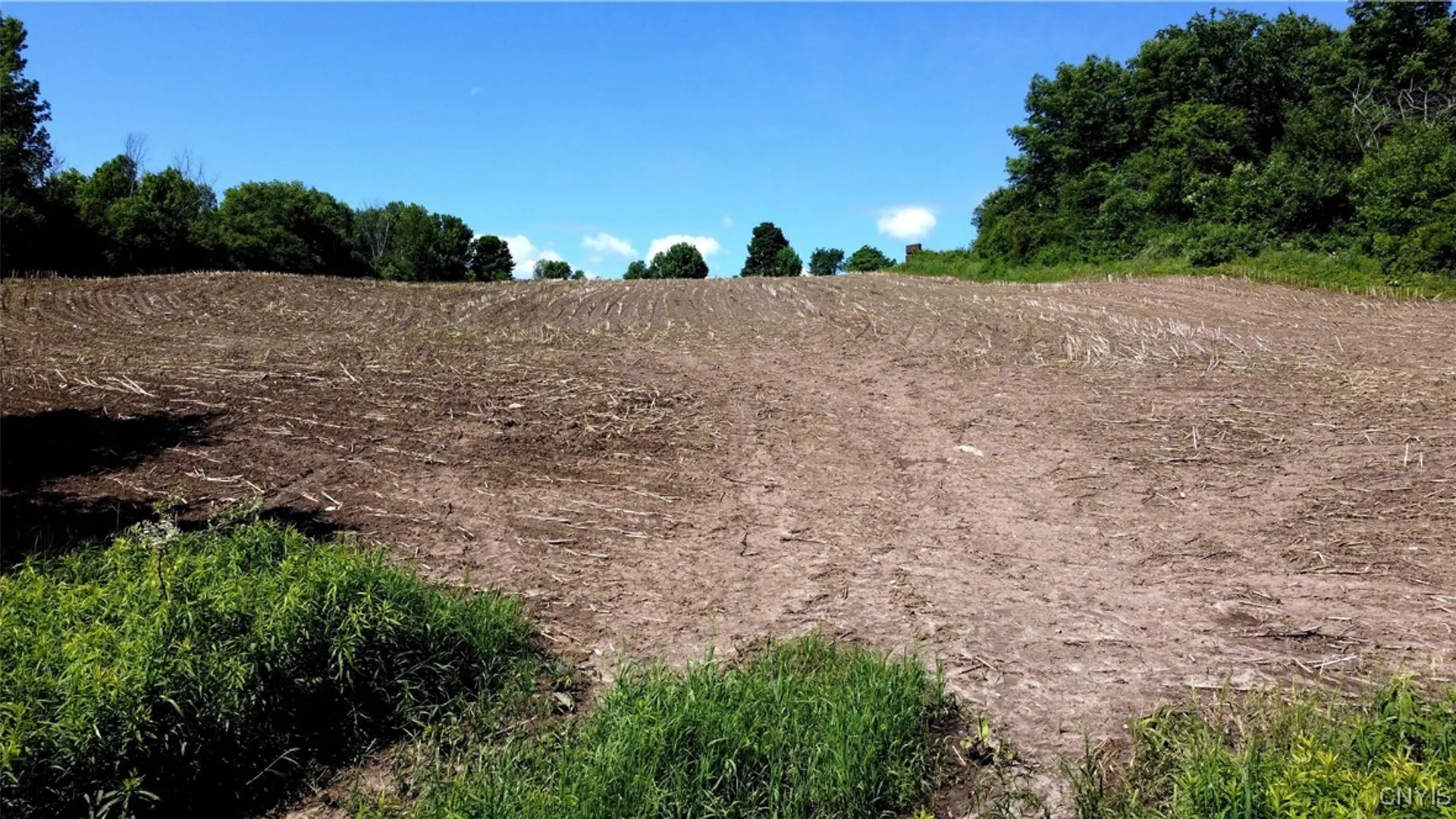 Property at 3965 Rt-12, West Turin, NY 13473 12