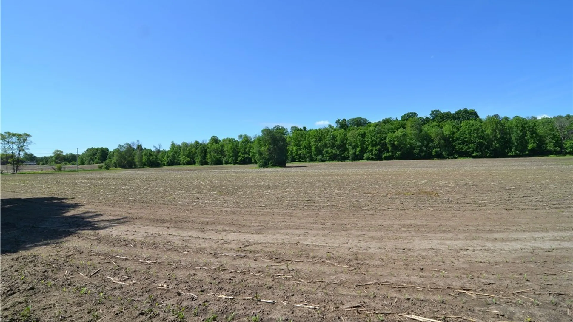 Property at 3965 Rt-12, West Turin, NY 13473 26