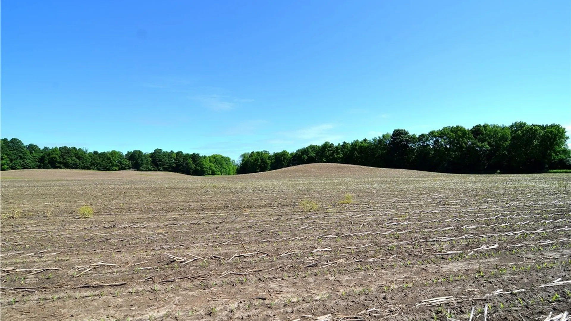 Property at 3965 Rt-12, West Turin, NY 13473 28