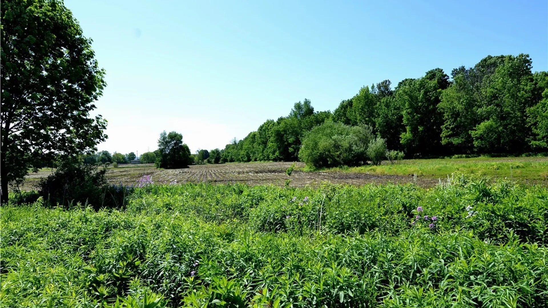 Property at 3965 Rt-12, West Turin, NY 13473 29