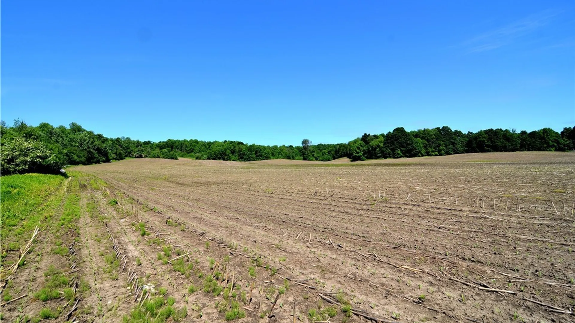 Property at 3965 Rt-12, West Turin, NY 13473 30