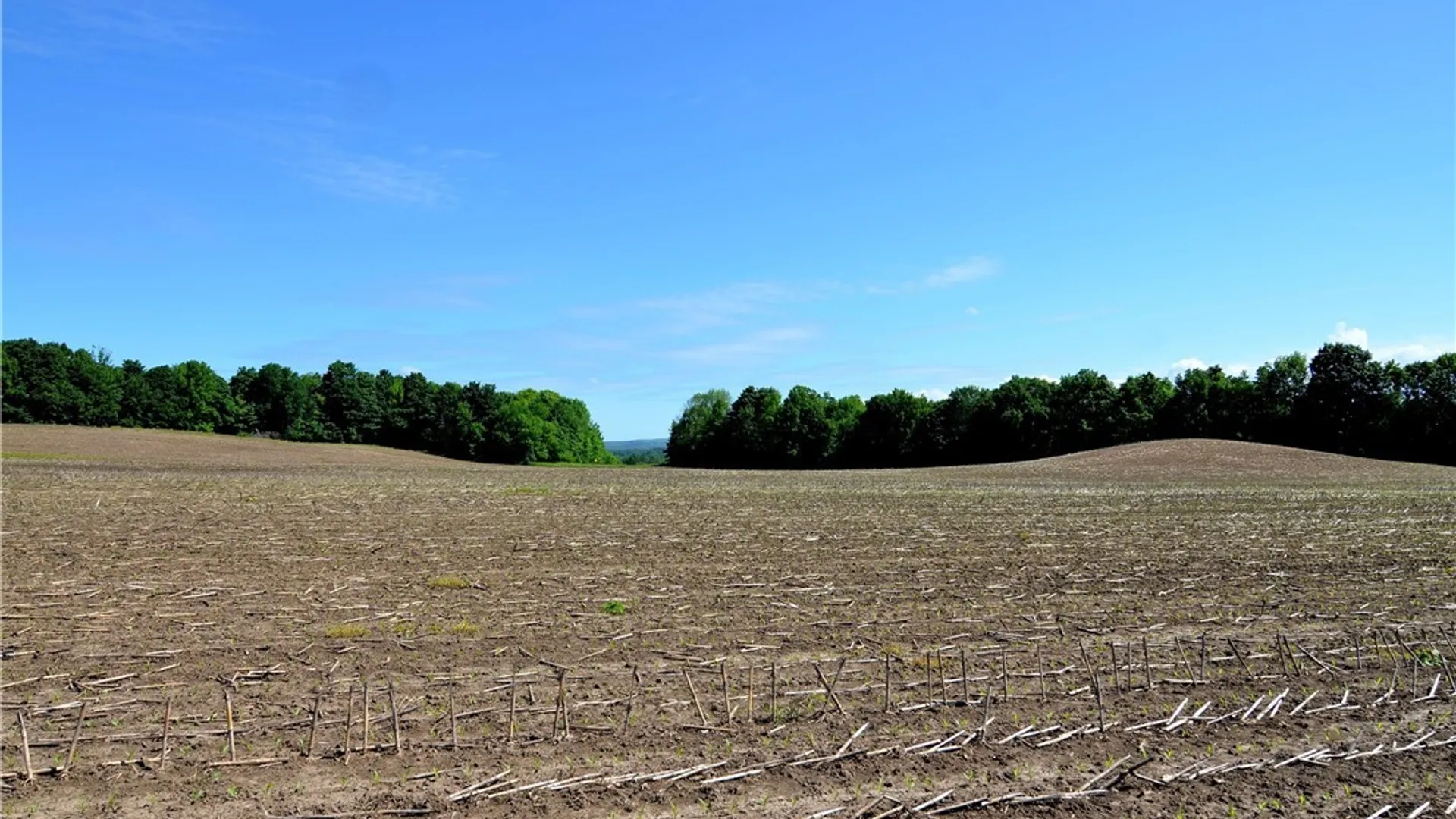 Property at 3965 Rt-12, West Turin, NY 13473 31