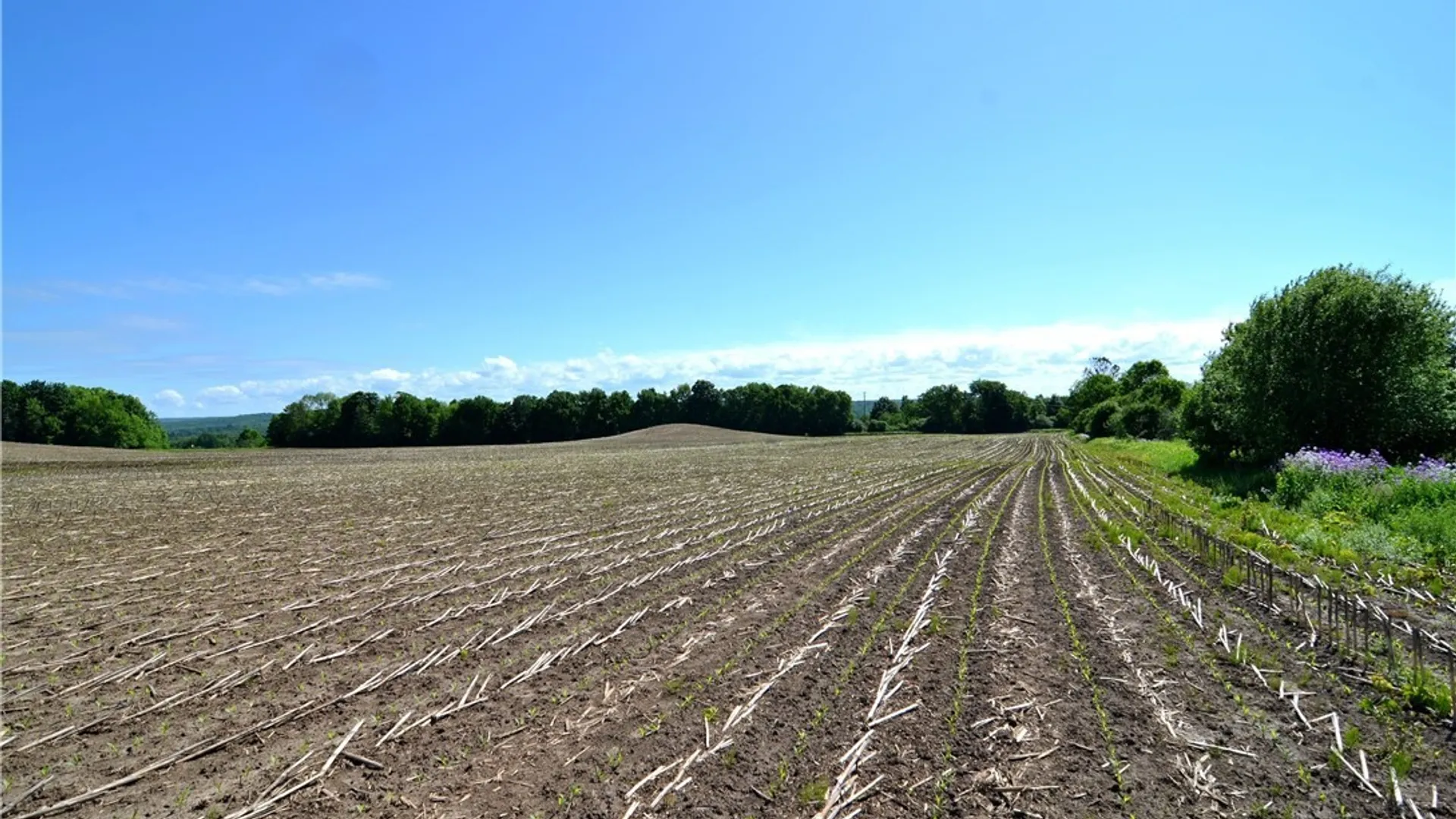 Property at 3965 Rt-12, West Turin, NY 13473 32