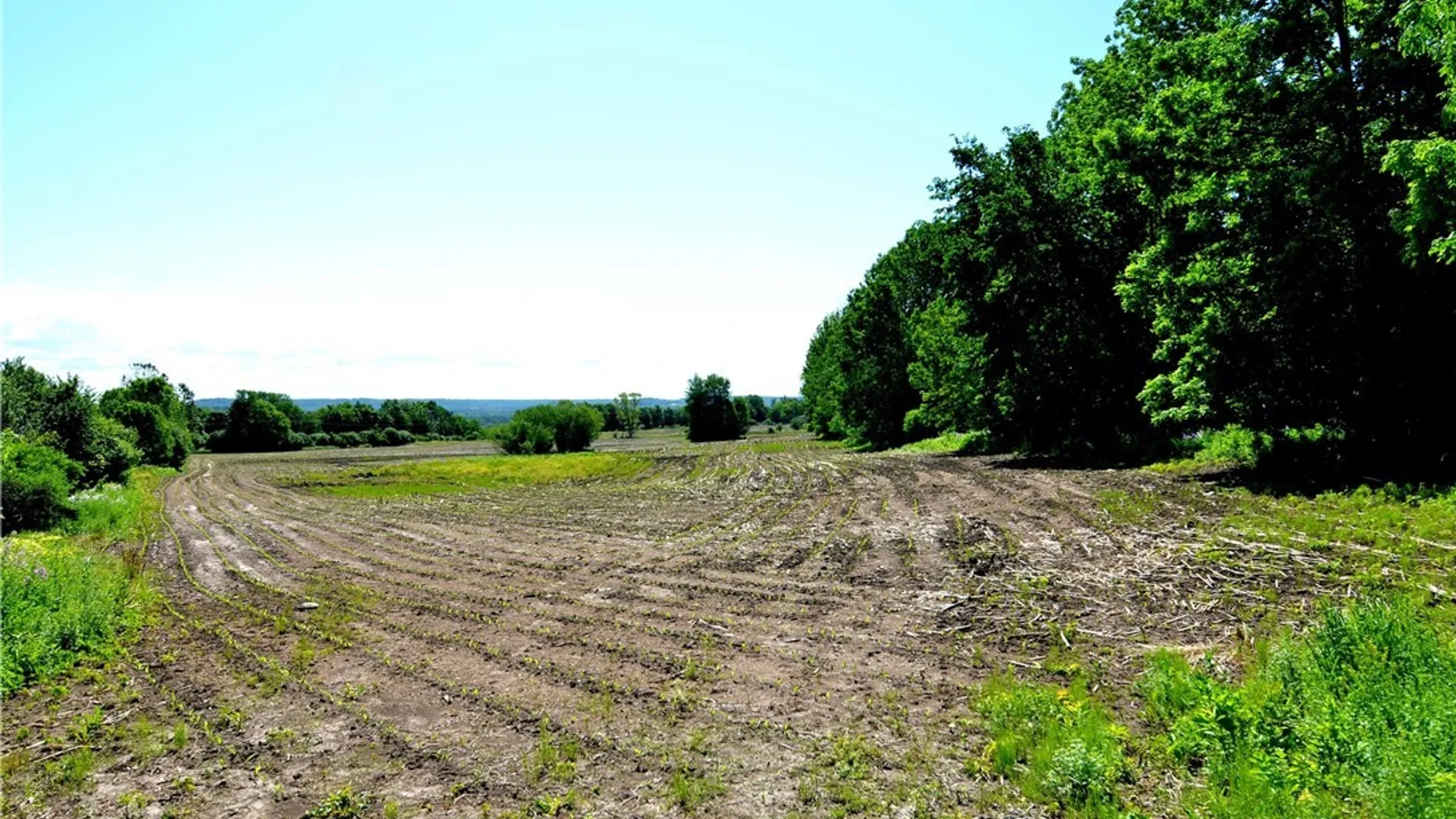 Property at 3965 Rt-12, West Turin, NY 13473 33