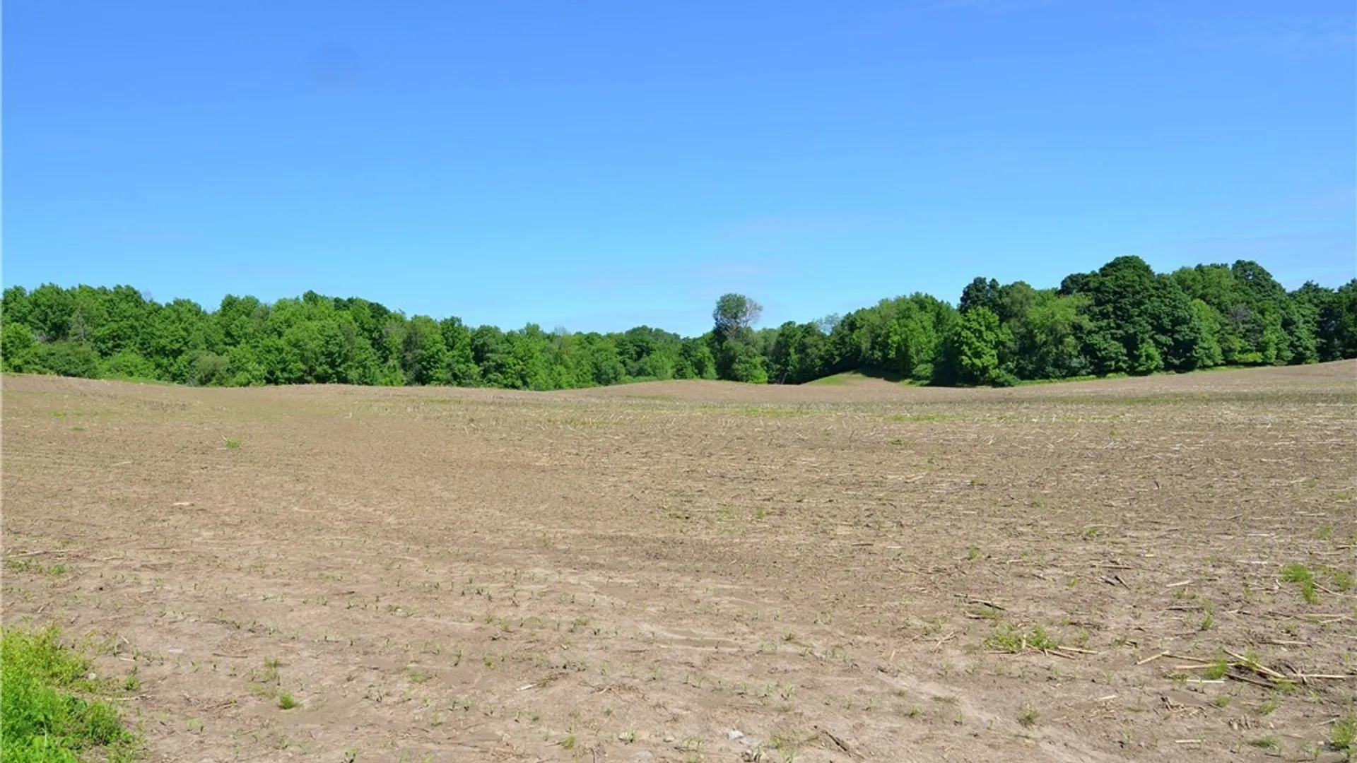 Property at 3965 Rt-12, West Turin, NY 13473 34
