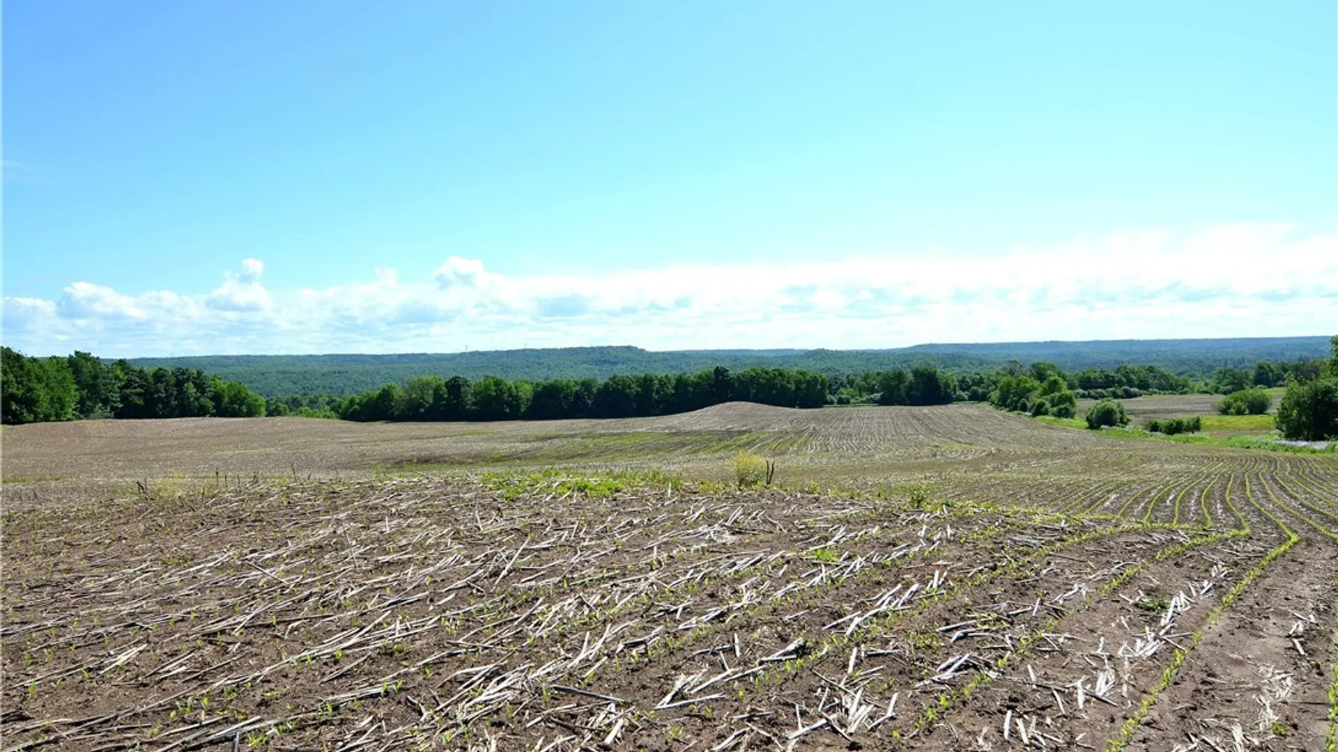 Property at 3965 Rt-12, West Turin, NY 13473 35