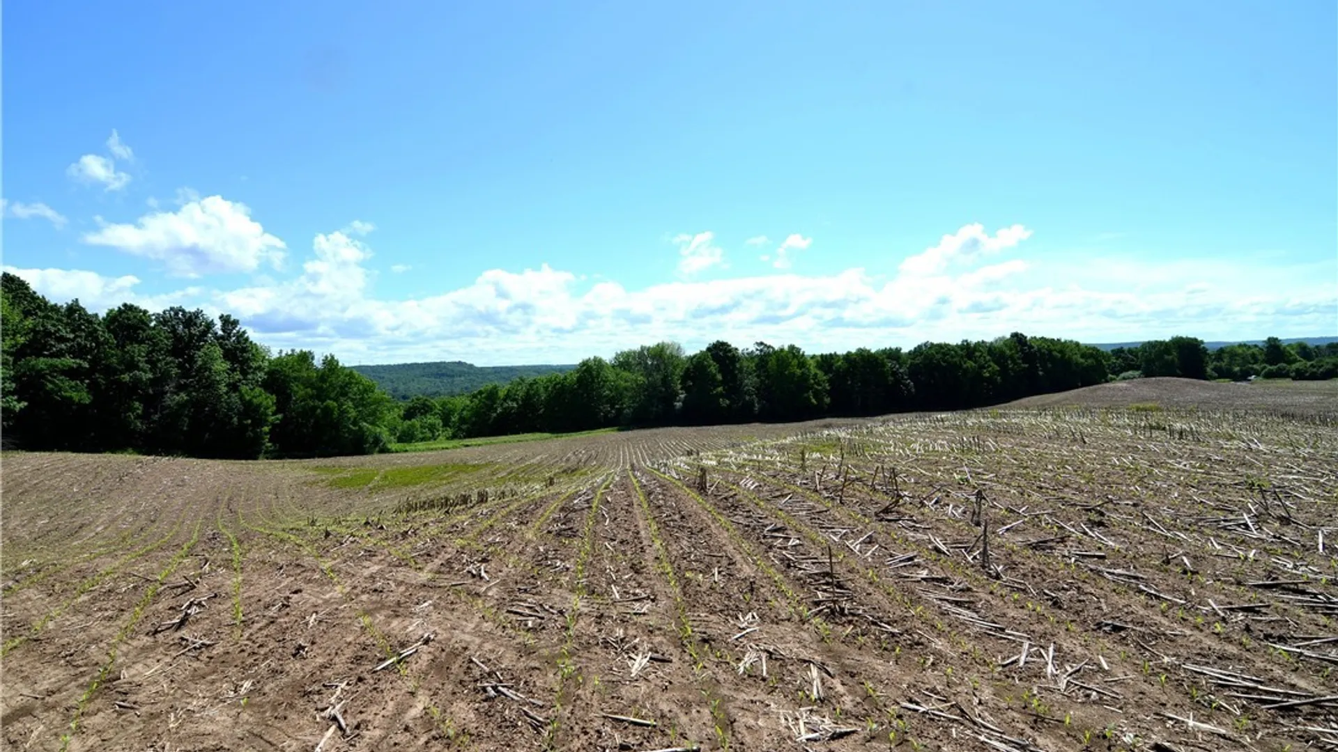 Property at 3965 Rt-12, West Turin, NY 13473 36