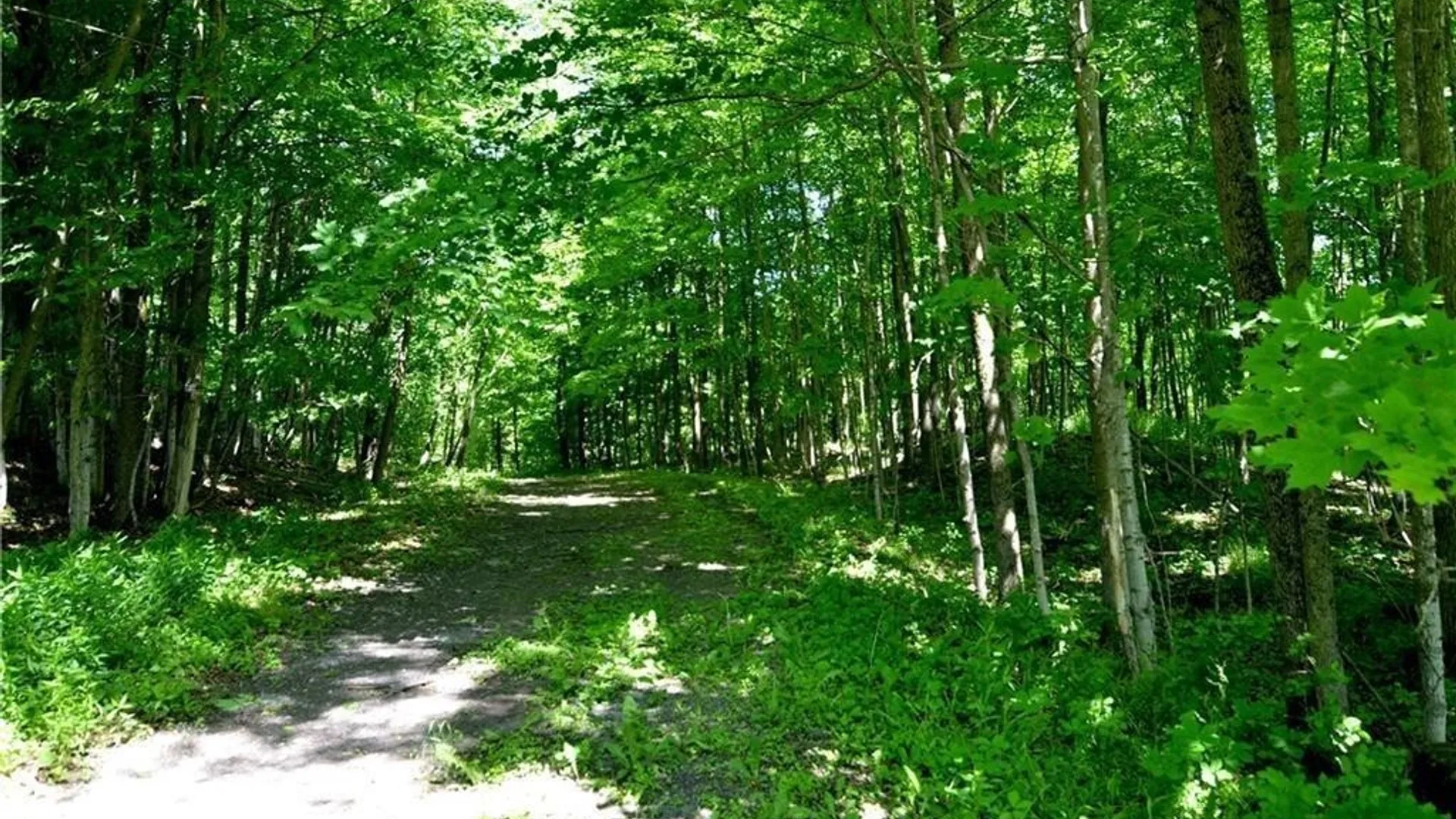 Property at 3965 Rt-12, West Turin, NY 13473 8