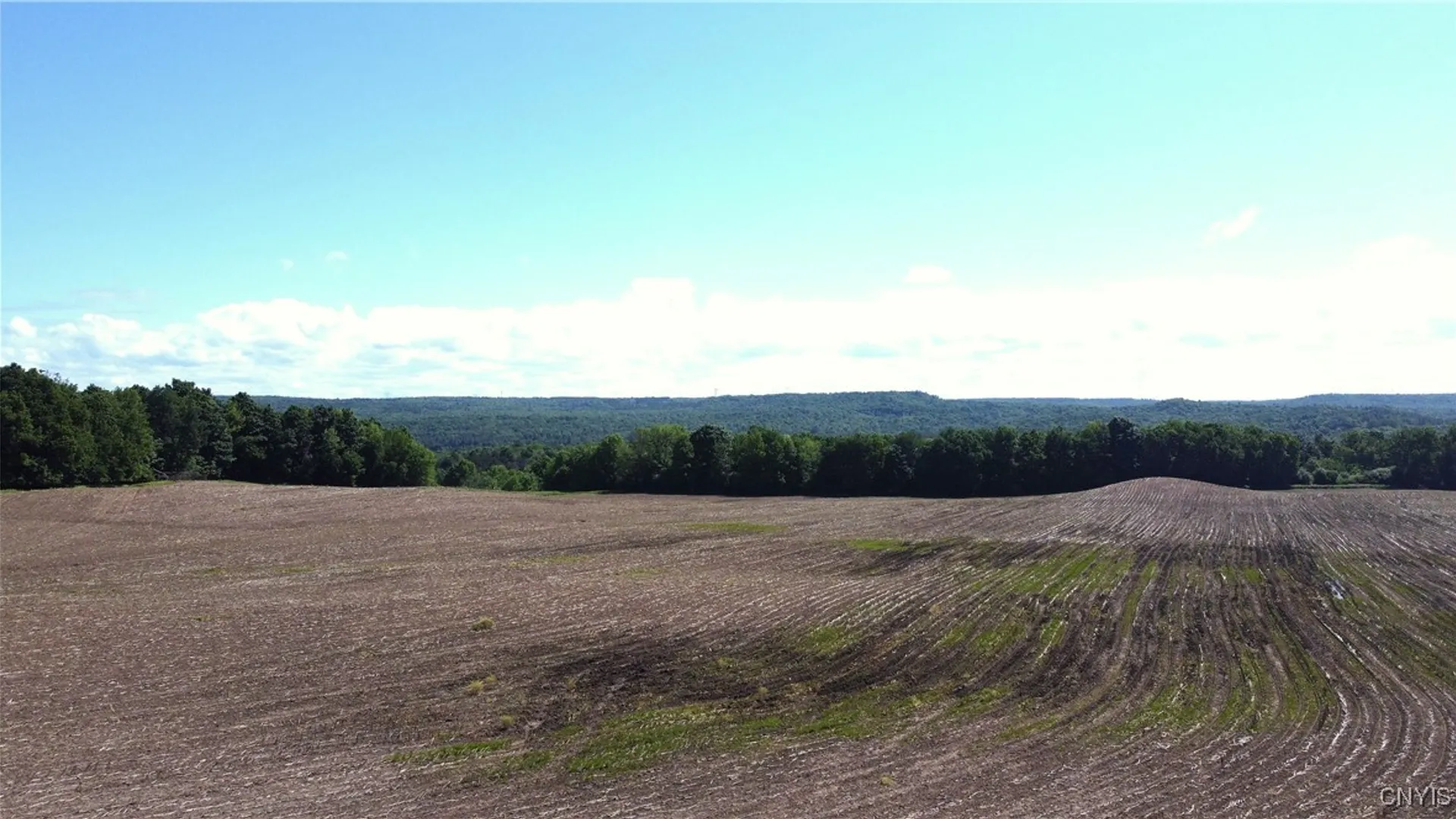 Property at 3965 Rt-12, West Turin, NY 13473 9