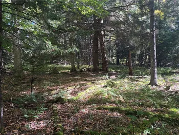 Moehs Road, Webb, NY 13420