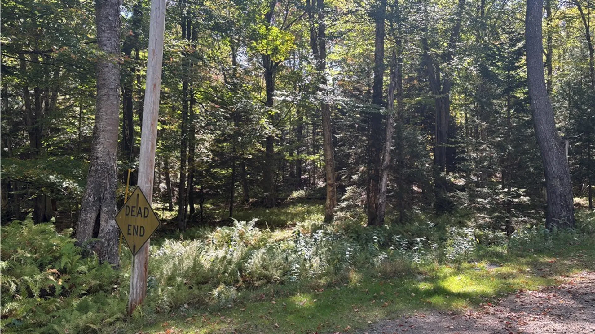 Property at Moehs Road, Webb, NY 13420 2