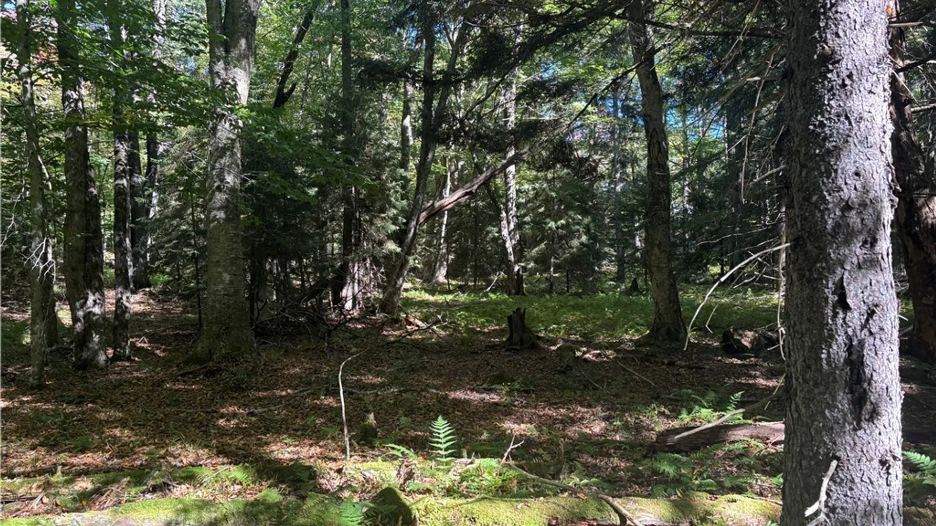 Property at Moehs Road, Webb, NY 13420 5