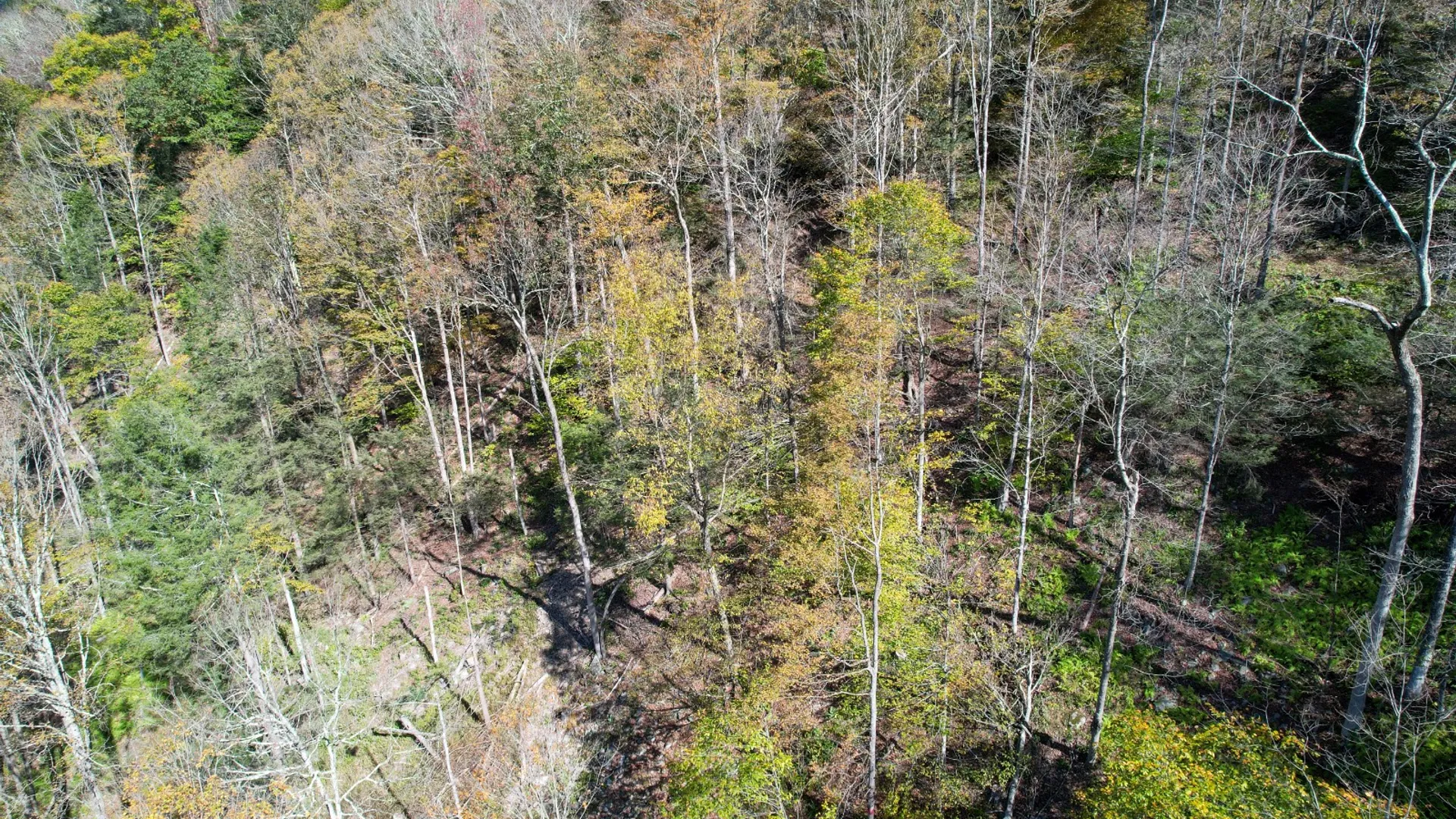 Property at 14401-14485 CR-17, Hancock, NY 13783 9
