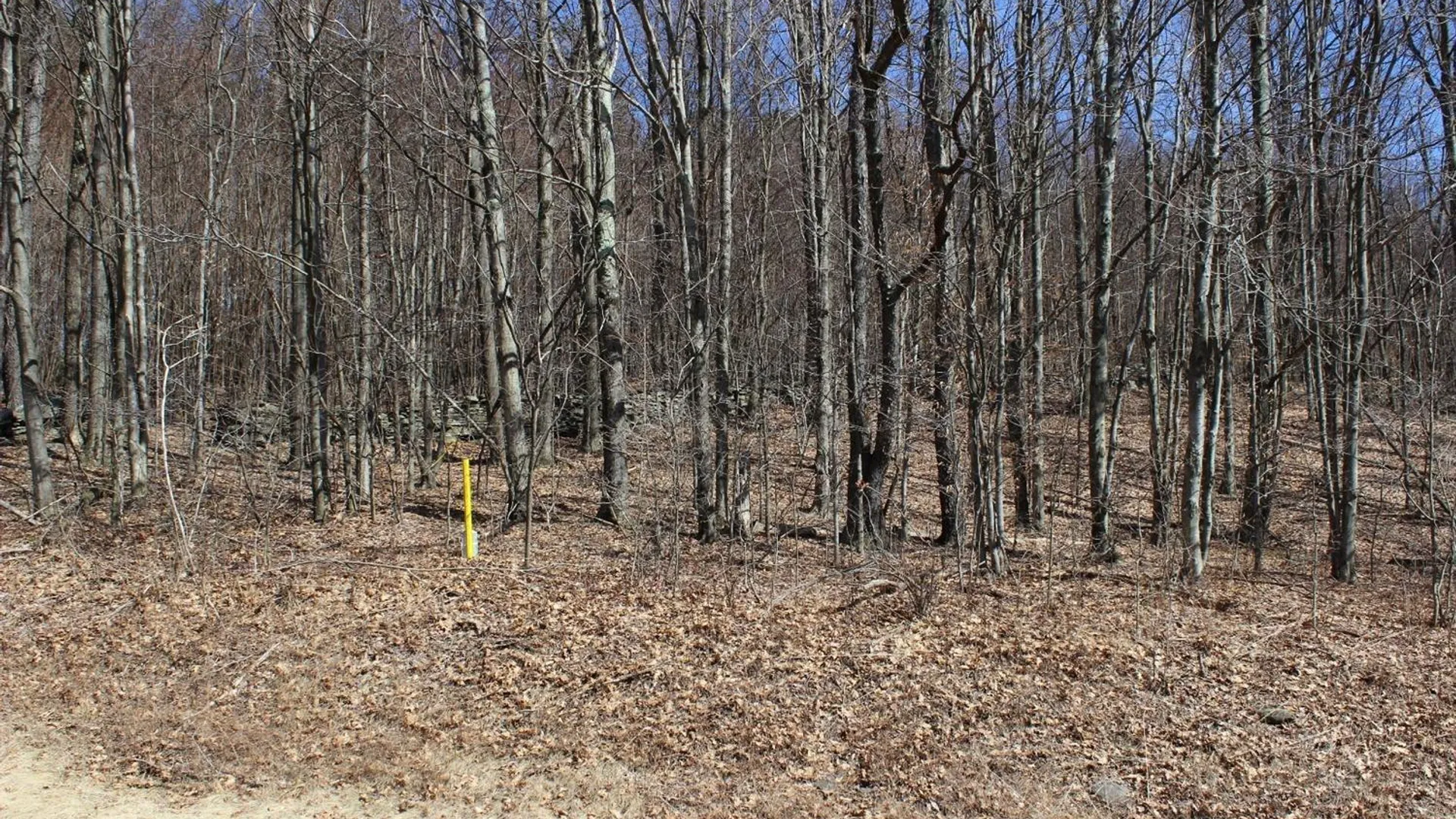 Property at 0 County Highway 26, Hamden, NY 13782 10