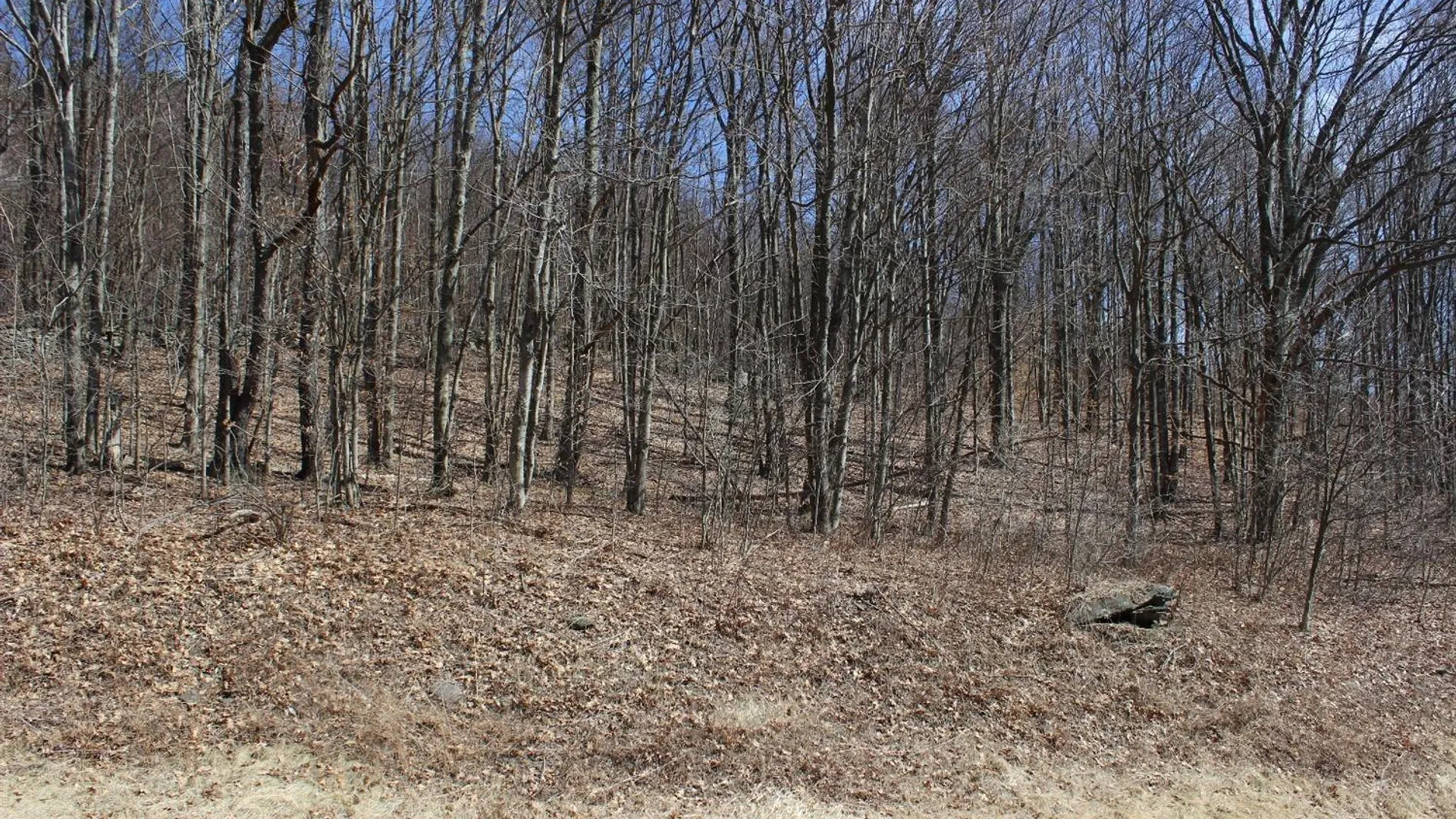 Property at 0 County Highway 26, Hamden, NY 13782 11