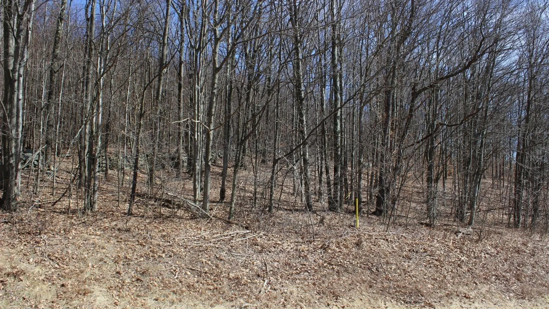 Property at 0 County Highway 26, Hamden, NY 13782 12