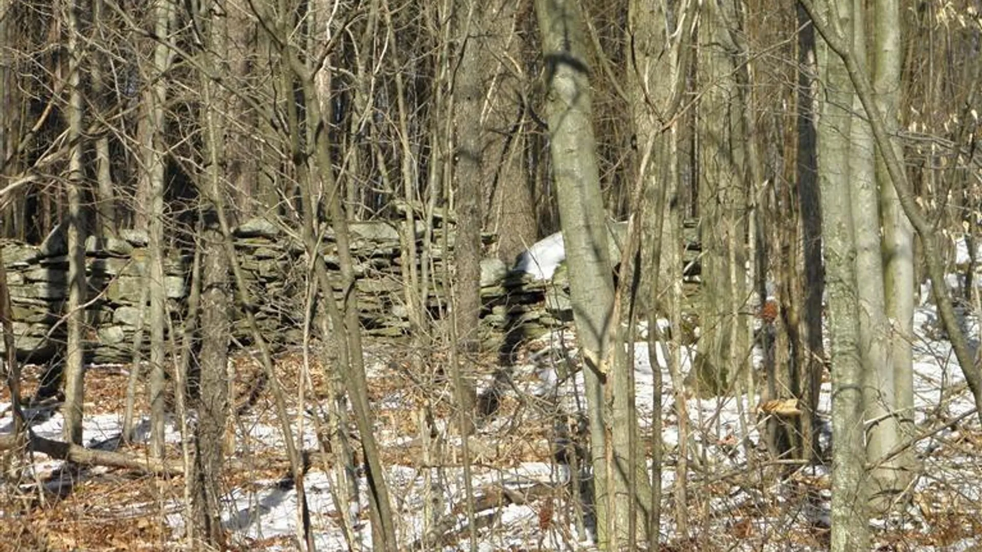 Property at 0 County Highway 26, Hamden, NY 13782 13