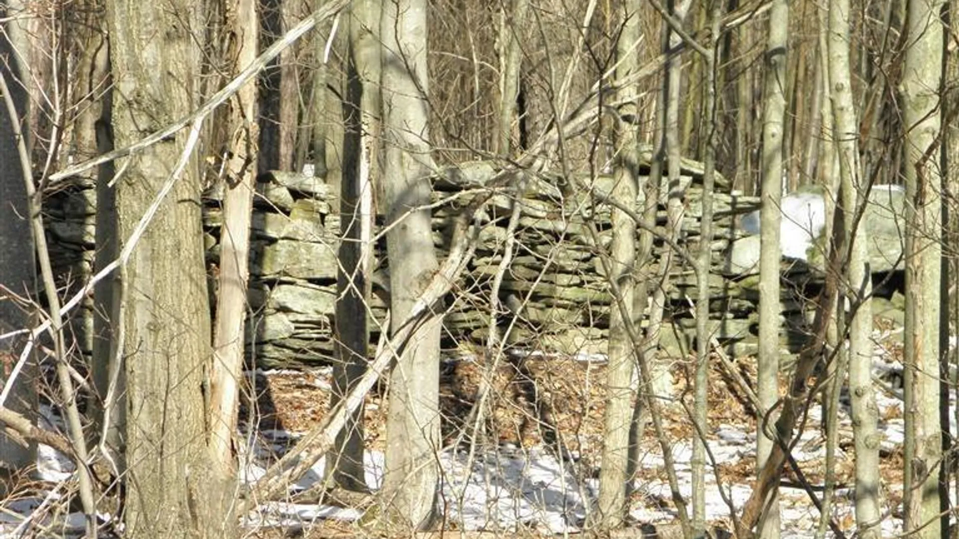 Property at 0 County Highway 26, Hamden, NY 13782 14