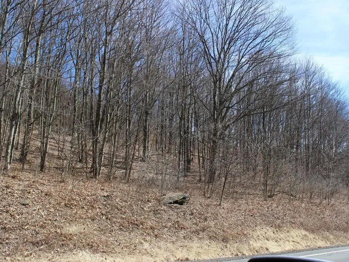 Property at 0 County Highway 26, Hamden, NY 13782