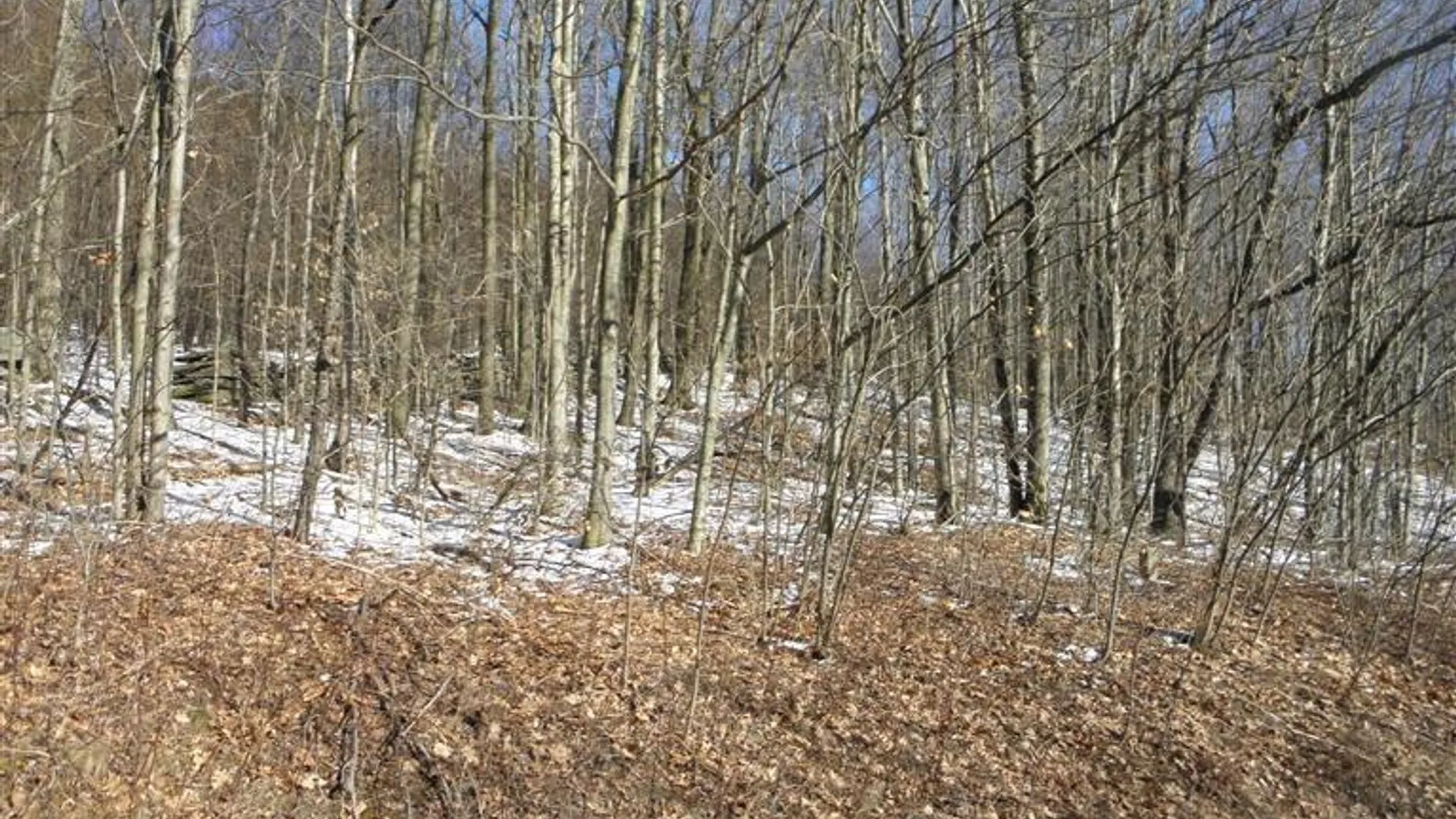 Property at 0 County Highway 26, Hamden, NY 13782 4