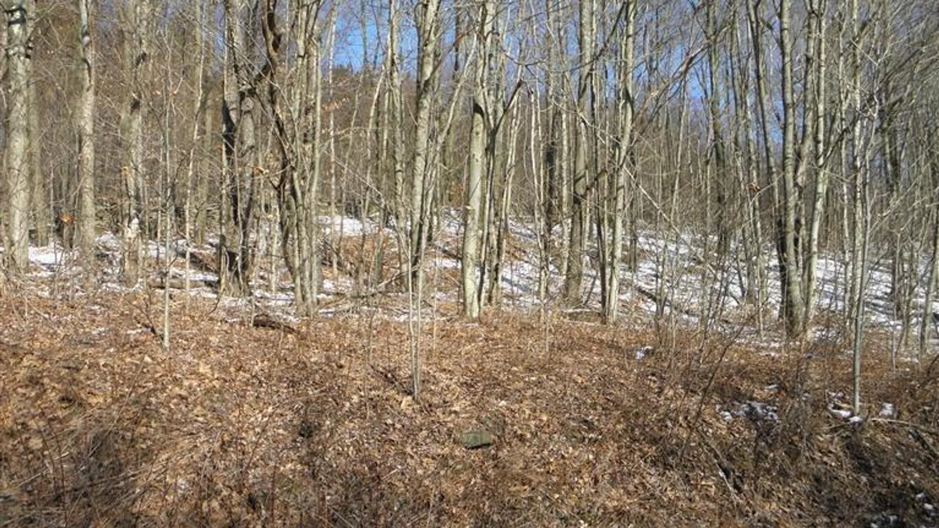 Property at 0 County Highway 26, Hamden, NY 13782 6