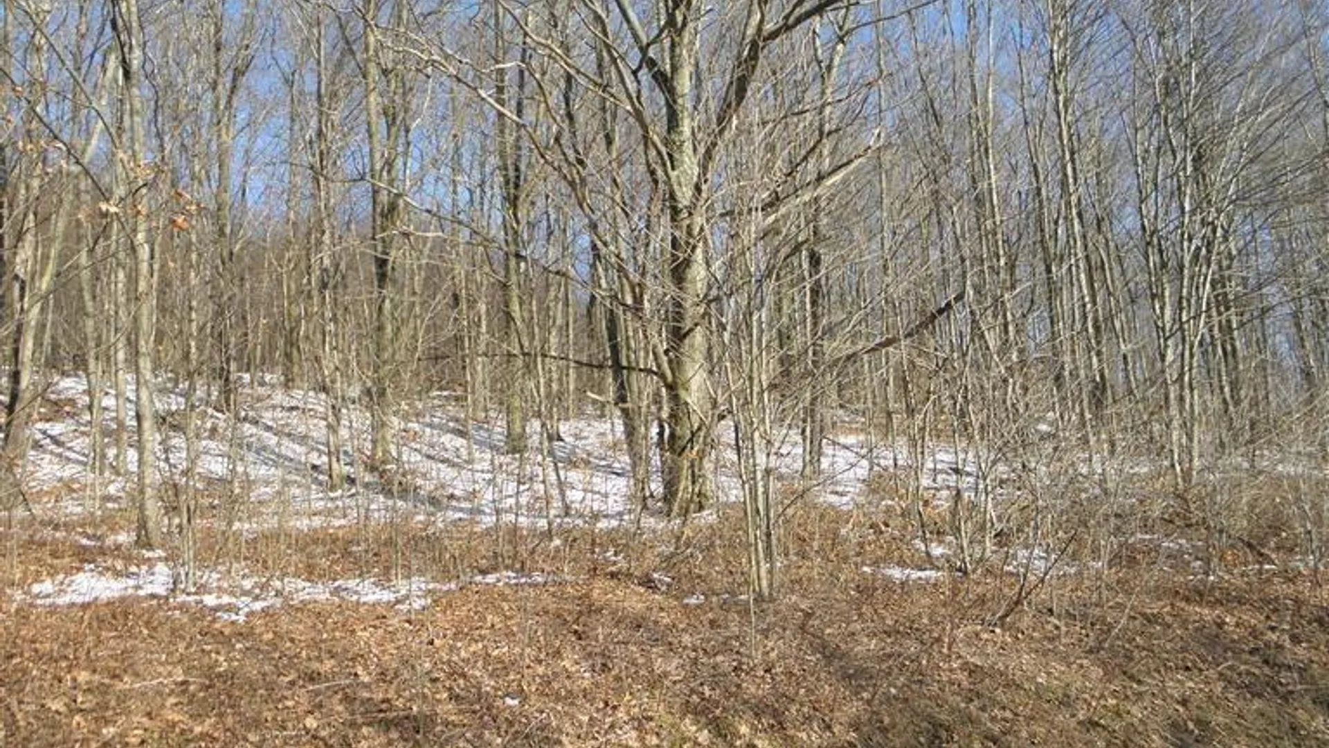 Property at 0 County Highway 26, Hamden, NY 13782 7