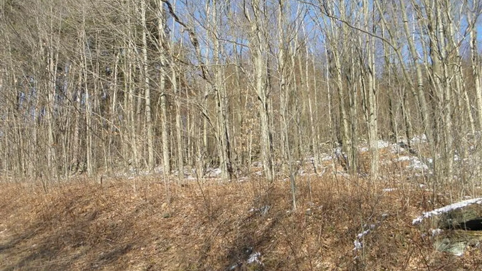 Property at 0 County Highway 26, Hamden, NY 13782 8