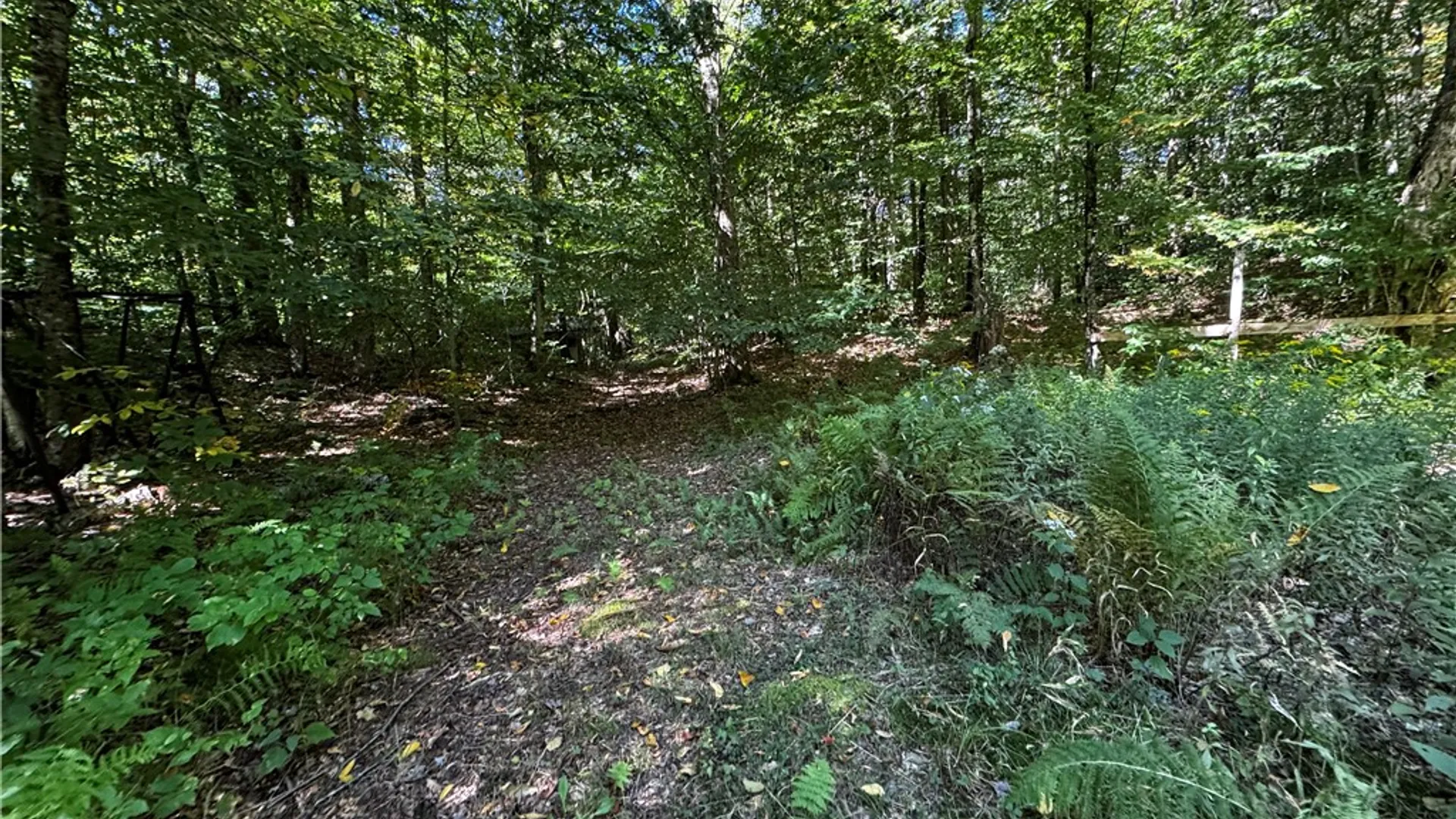 Property at 185 Kaine Road, Williamstown, NY 13302 10