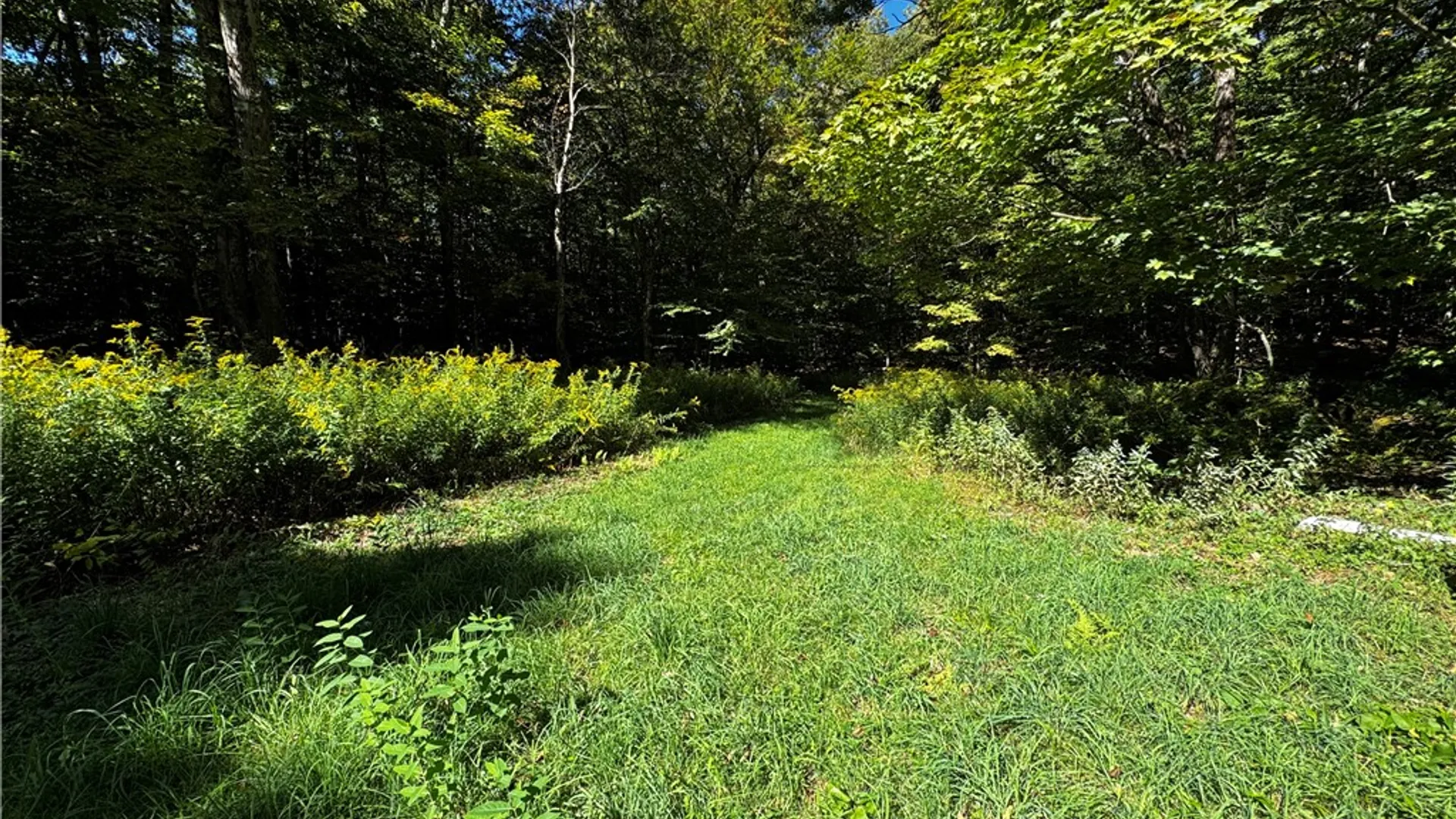 Property at 185 Kaine Road, Williamstown, NY 13302 14