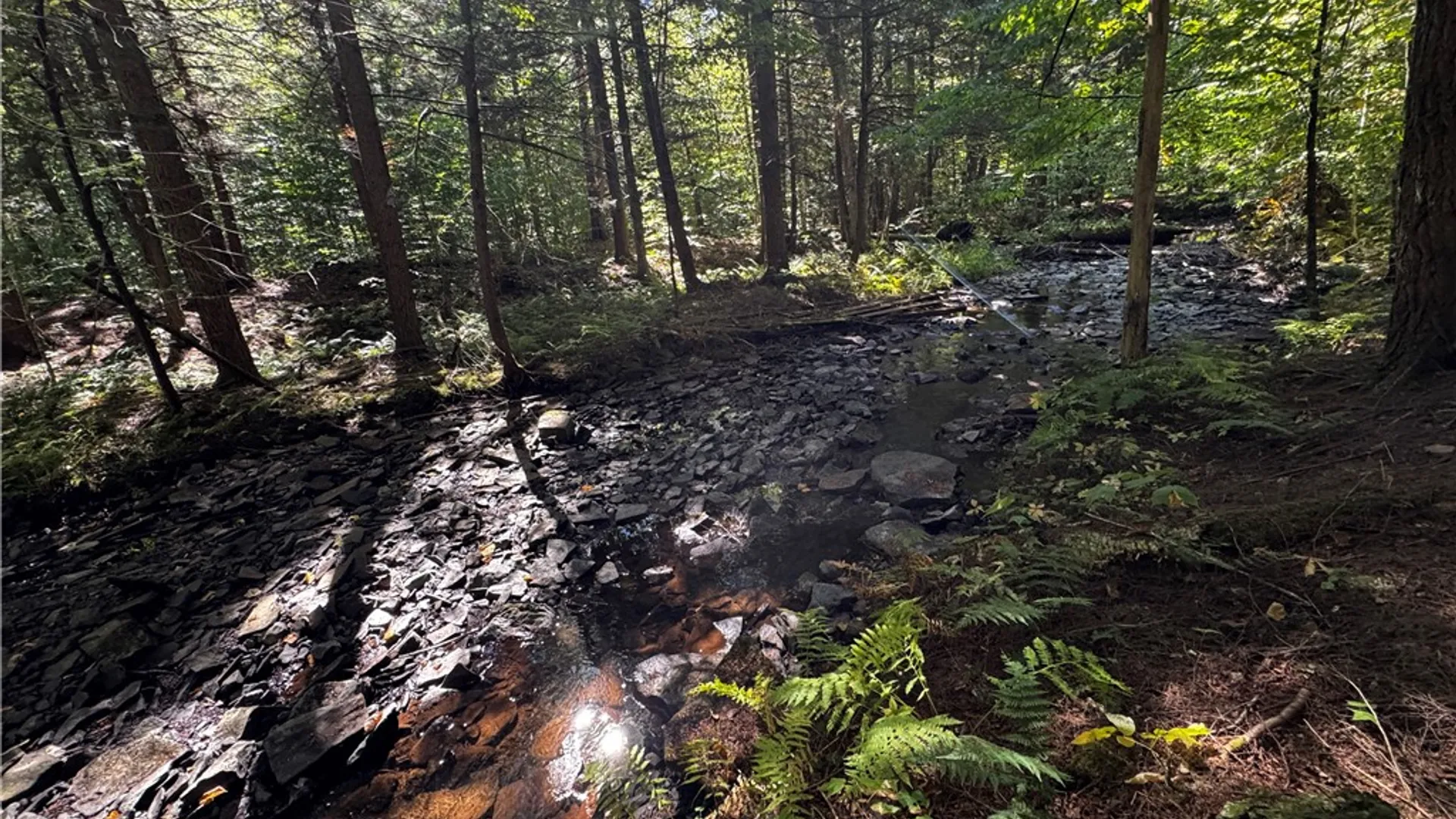 Property at 185 Kaine Road, Williamstown, NY 13302 4