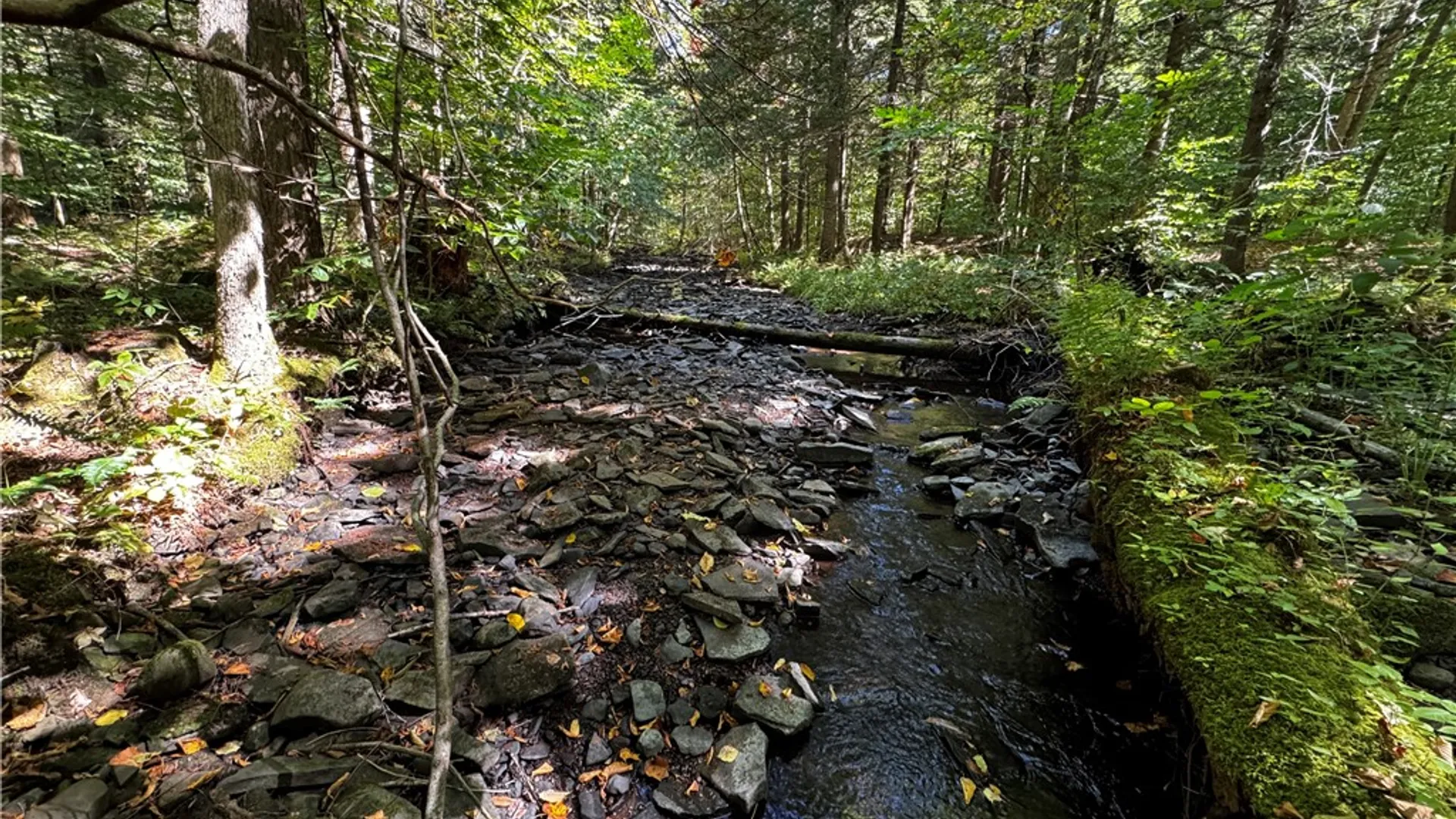 Property at 185 Kaine Road, Williamstown, NY 13302 5