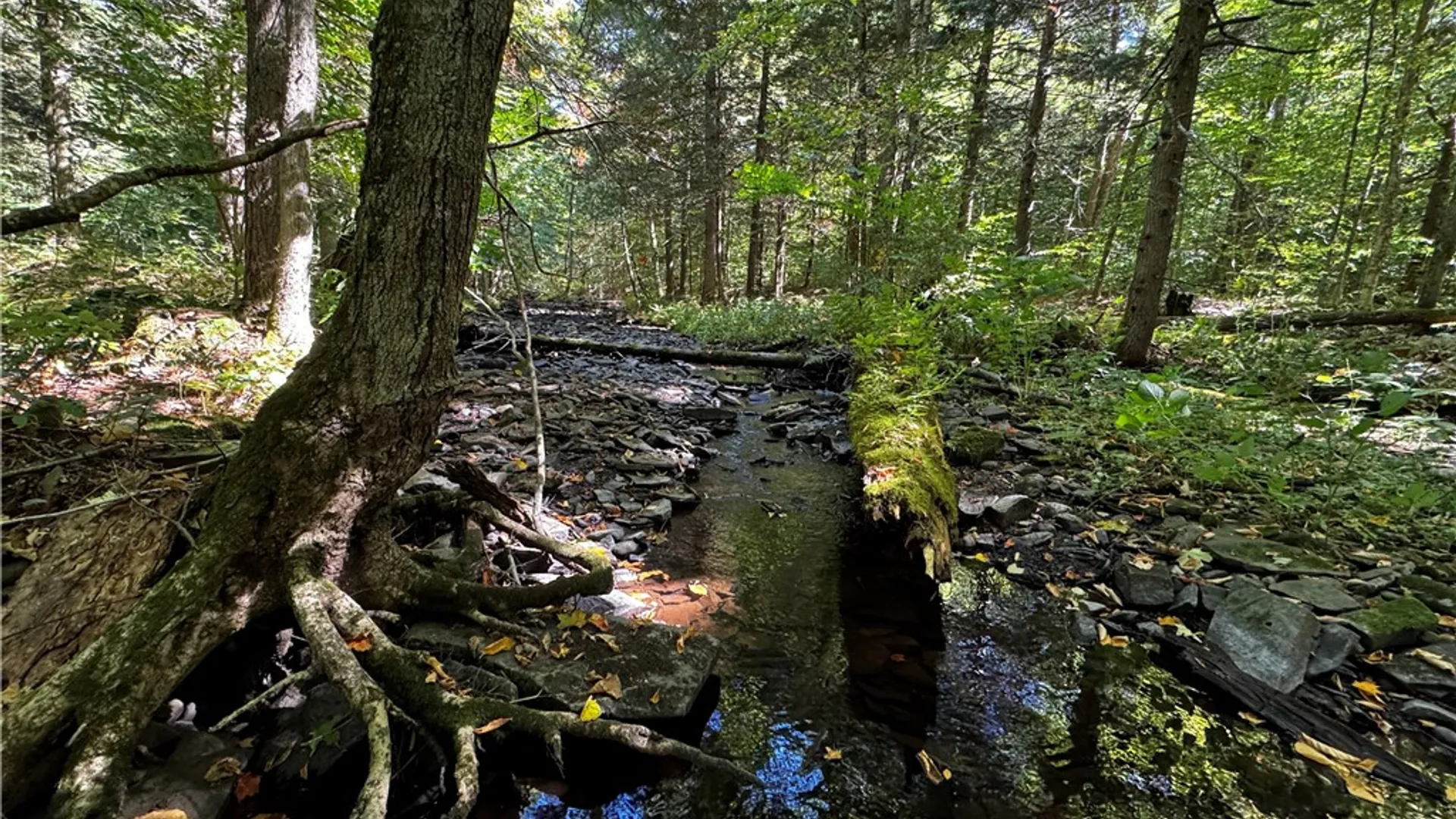 Property at 185 Kaine Road, Williamstown, NY 13302 6