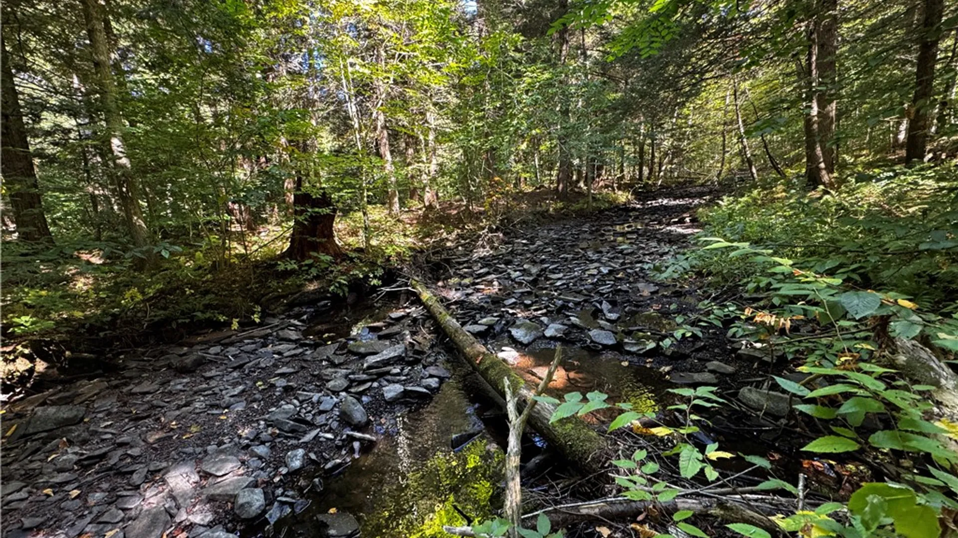 Property at 185 Kaine Road, Williamstown, NY 13302 7