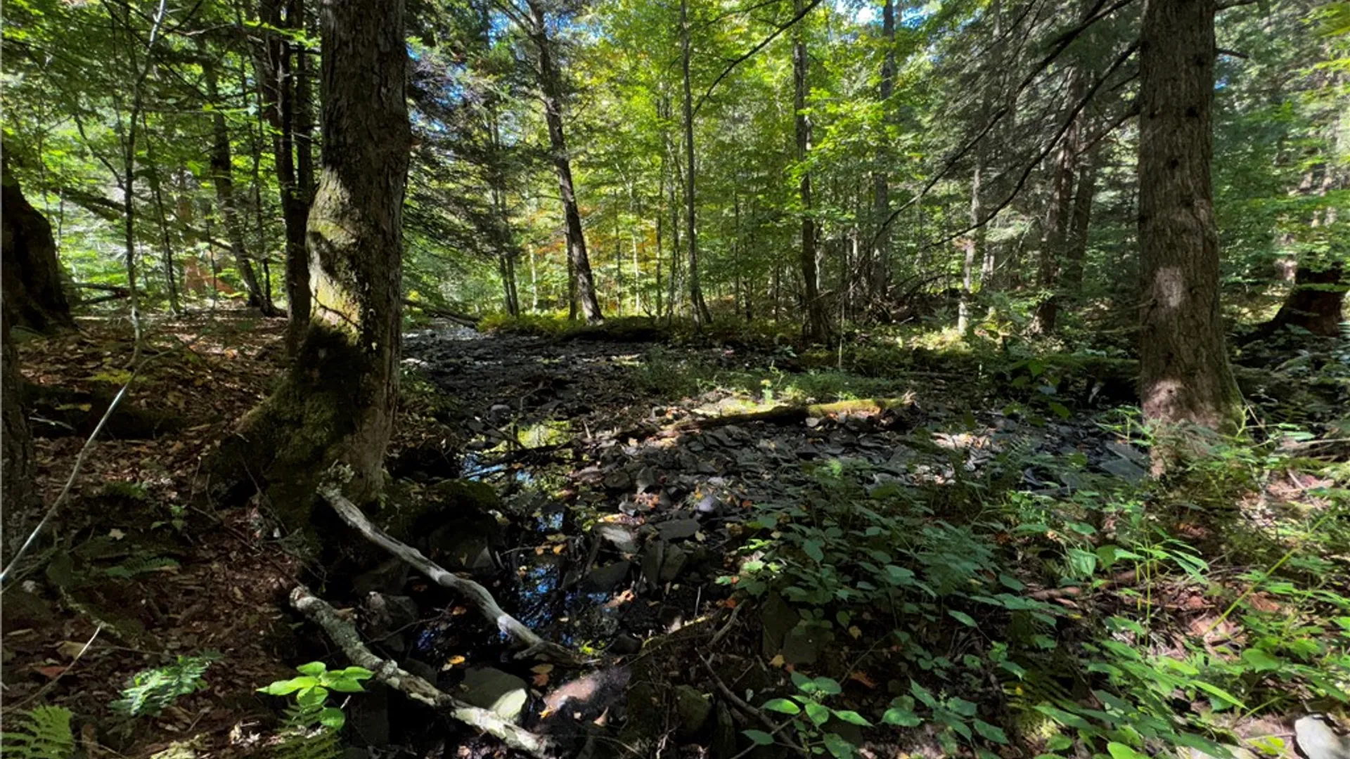 Property at 185 Kaine Road, Williamstown, NY 13302 9