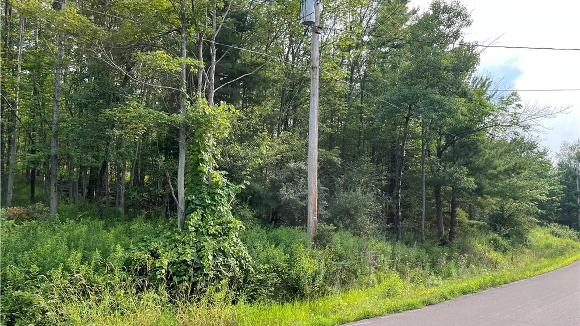 Property at 0 Valley View Drive, Big Flats, NY 14814 3