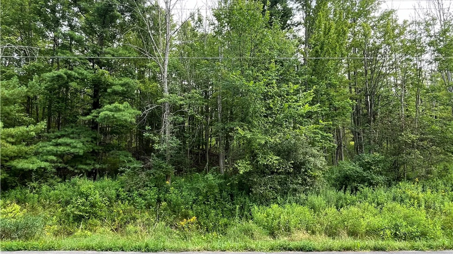 Property at 0 Valley View Drive, Big Flats, NY 14814 4