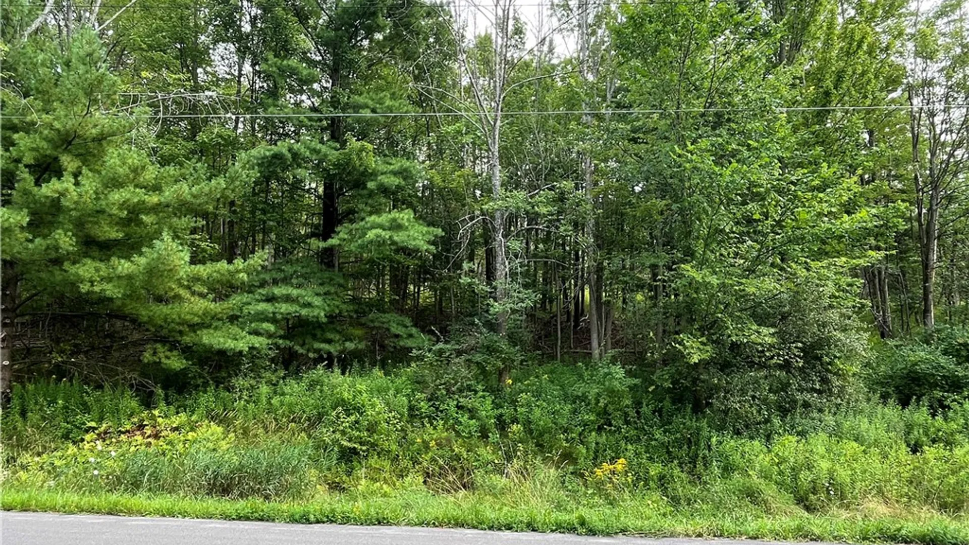 Property at 0 Valley View Drive, Big Flats, NY 14814 5