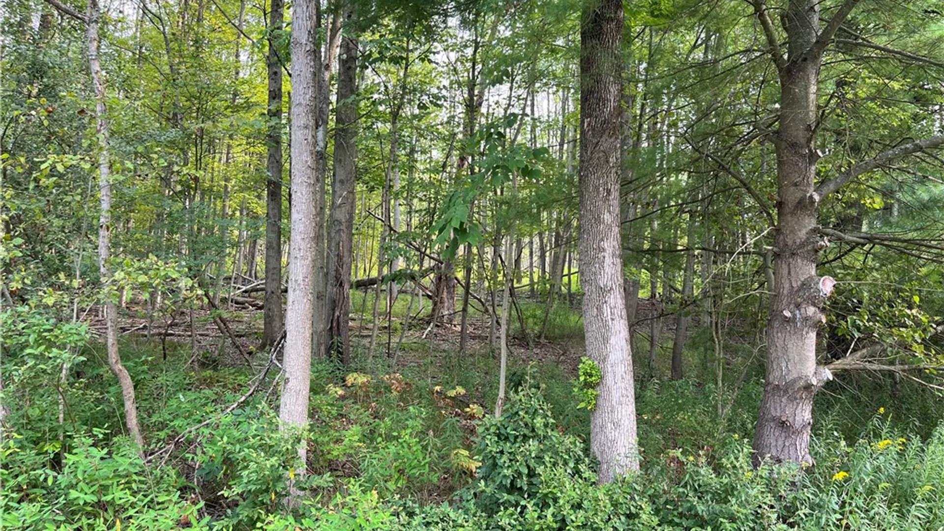 Property at 0 Valley View Drive, Big Flats, NY 14814 6