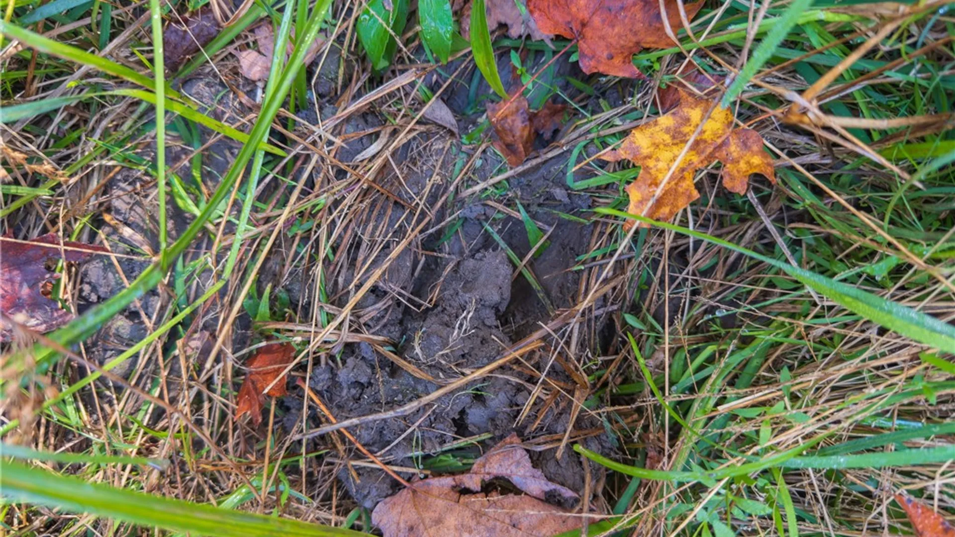 Property at Reservoir Hill Road, Plymouth, NY 13844 13