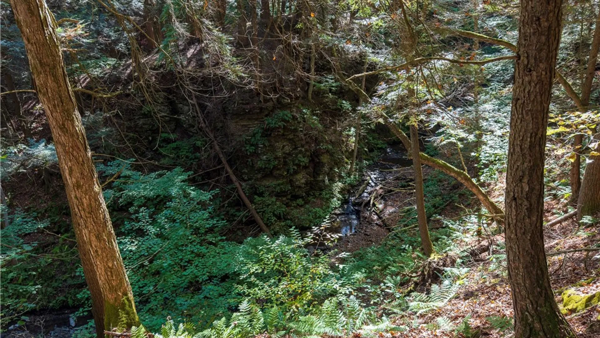 Property at Reservoir Hill Road, Plymouth, NY 13844 15