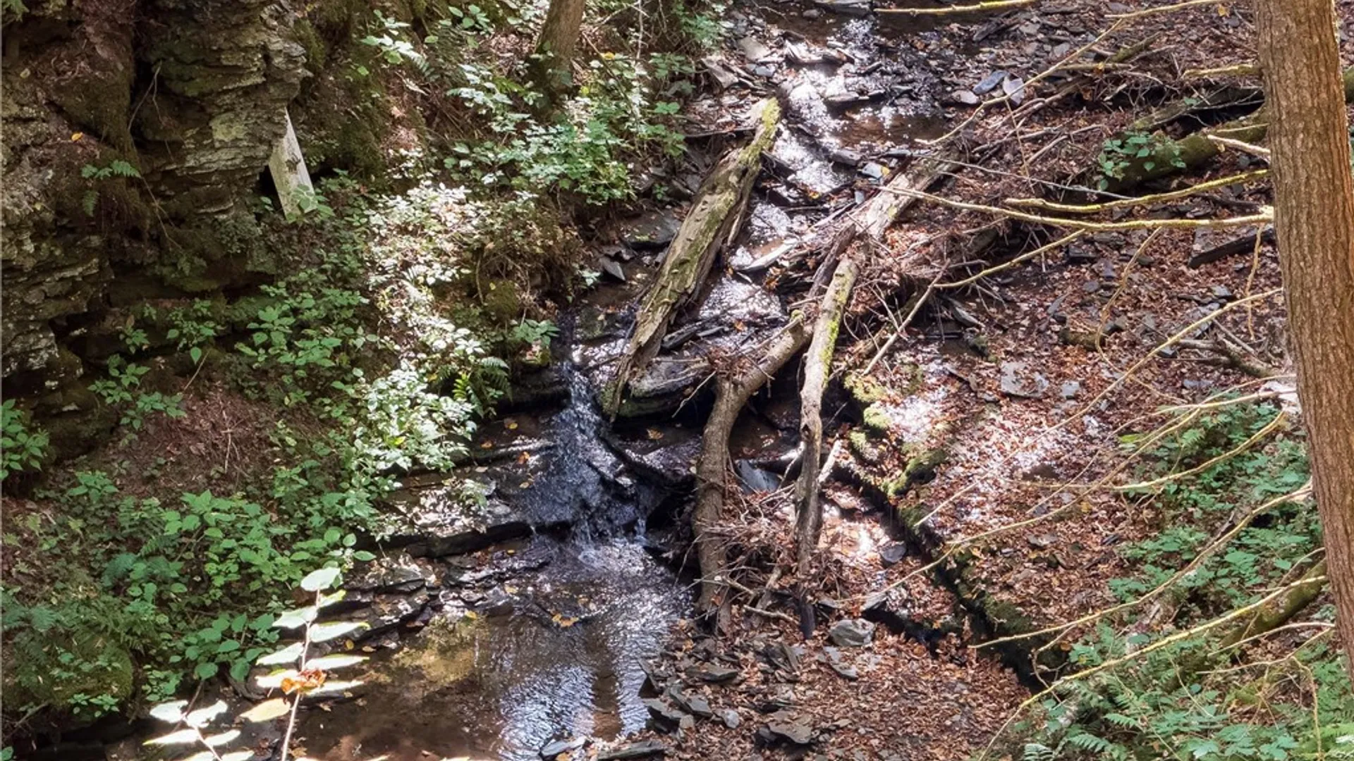 Property at Reservoir Hill Road, Plymouth, NY 13844 16