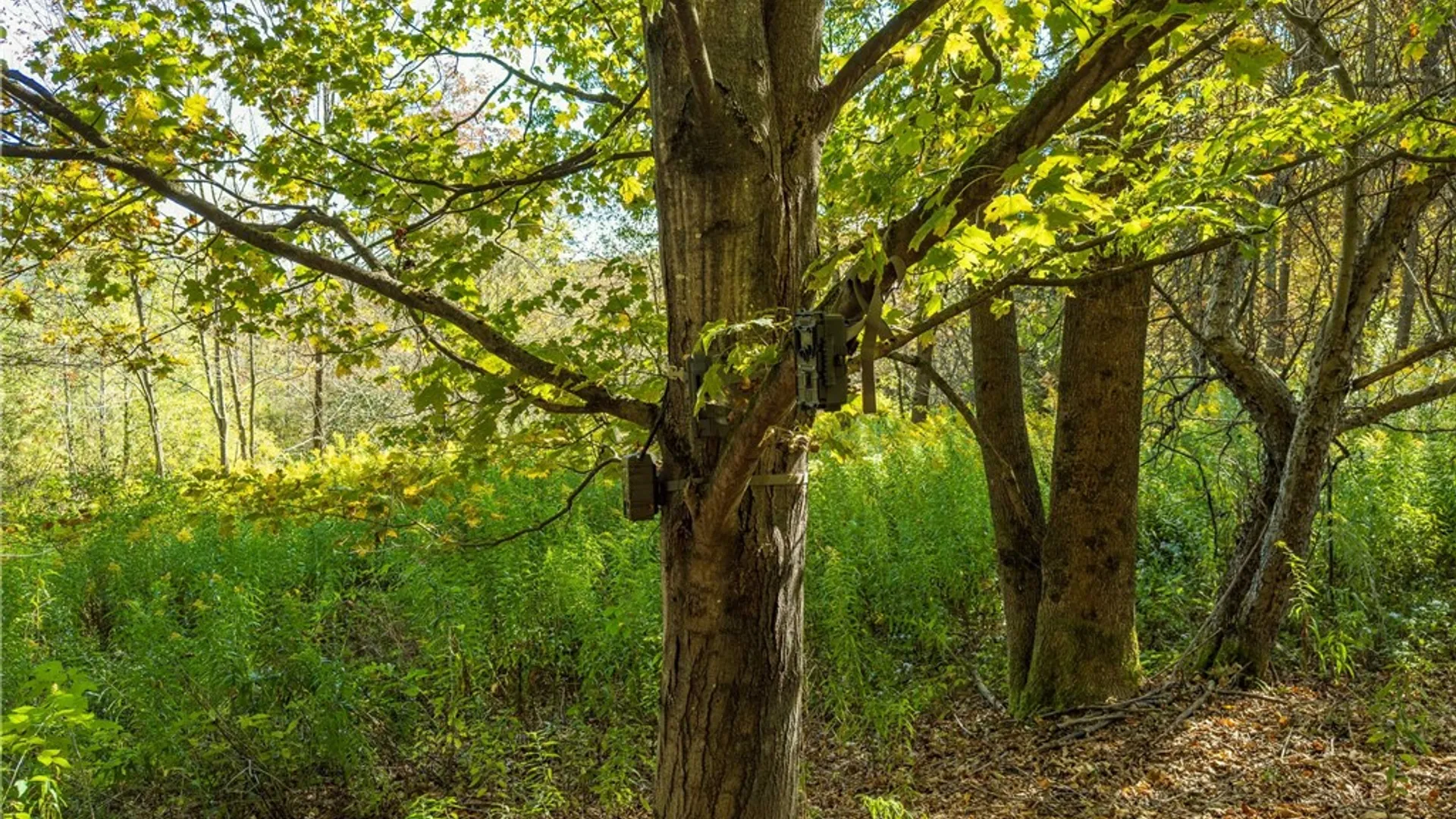 Property at Reservoir Hill Road, Plymouth, NY 13844 17