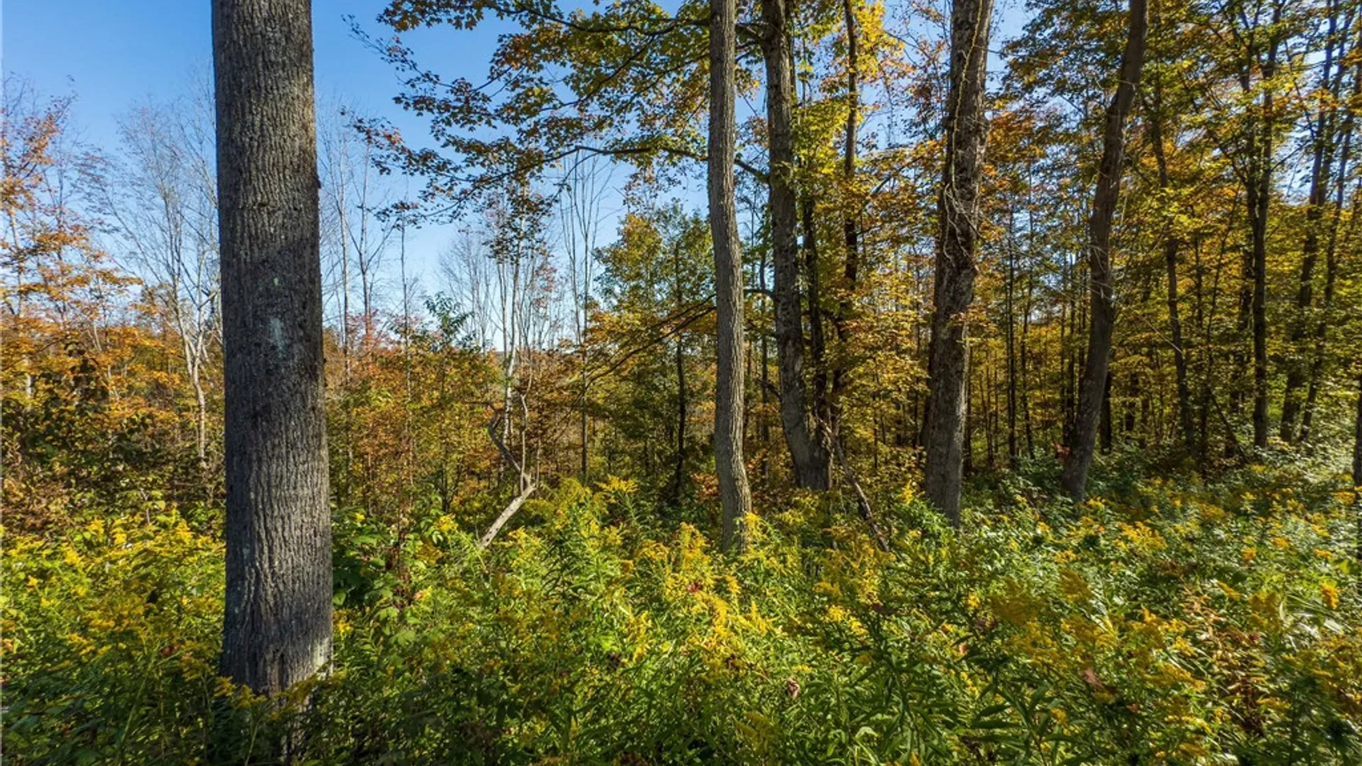 Property at Reservoir Hill Road, Plymouth, NY 13844 18