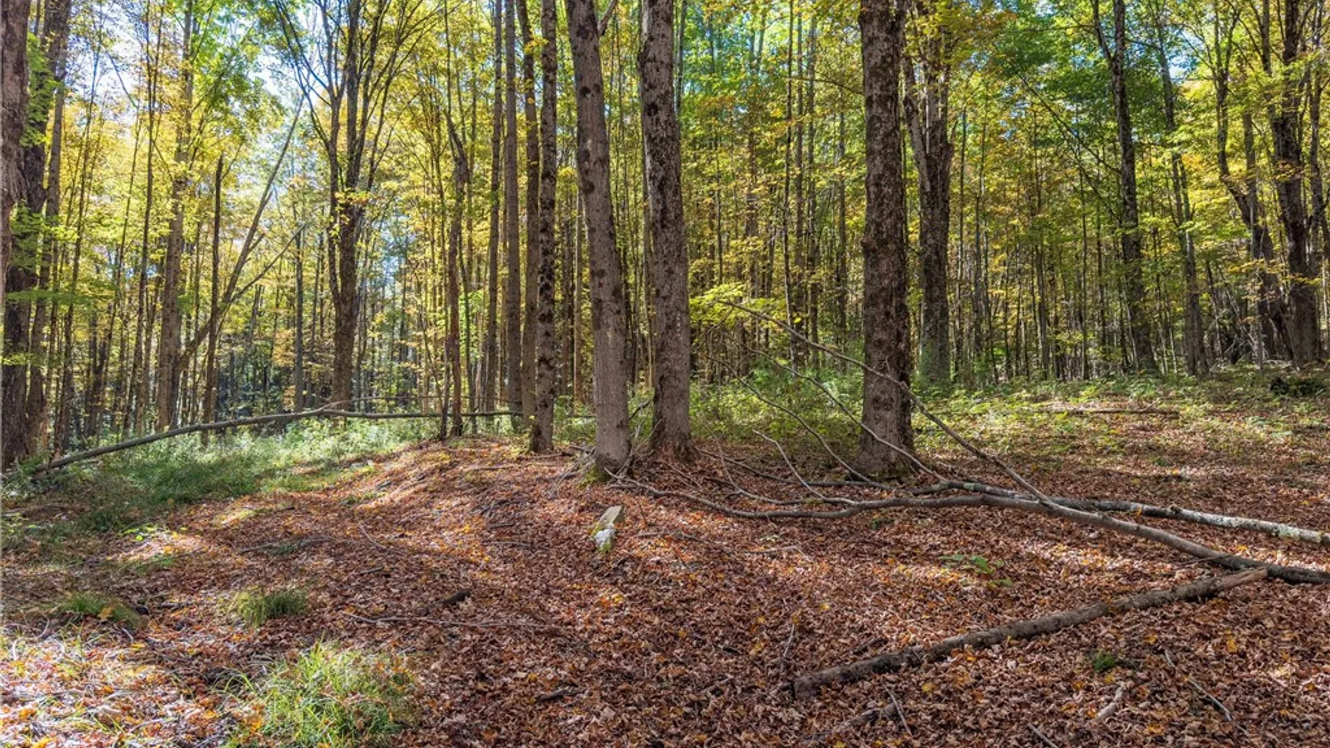 Property at Reservoir Hill Road, Plymouth, NY 13844 20