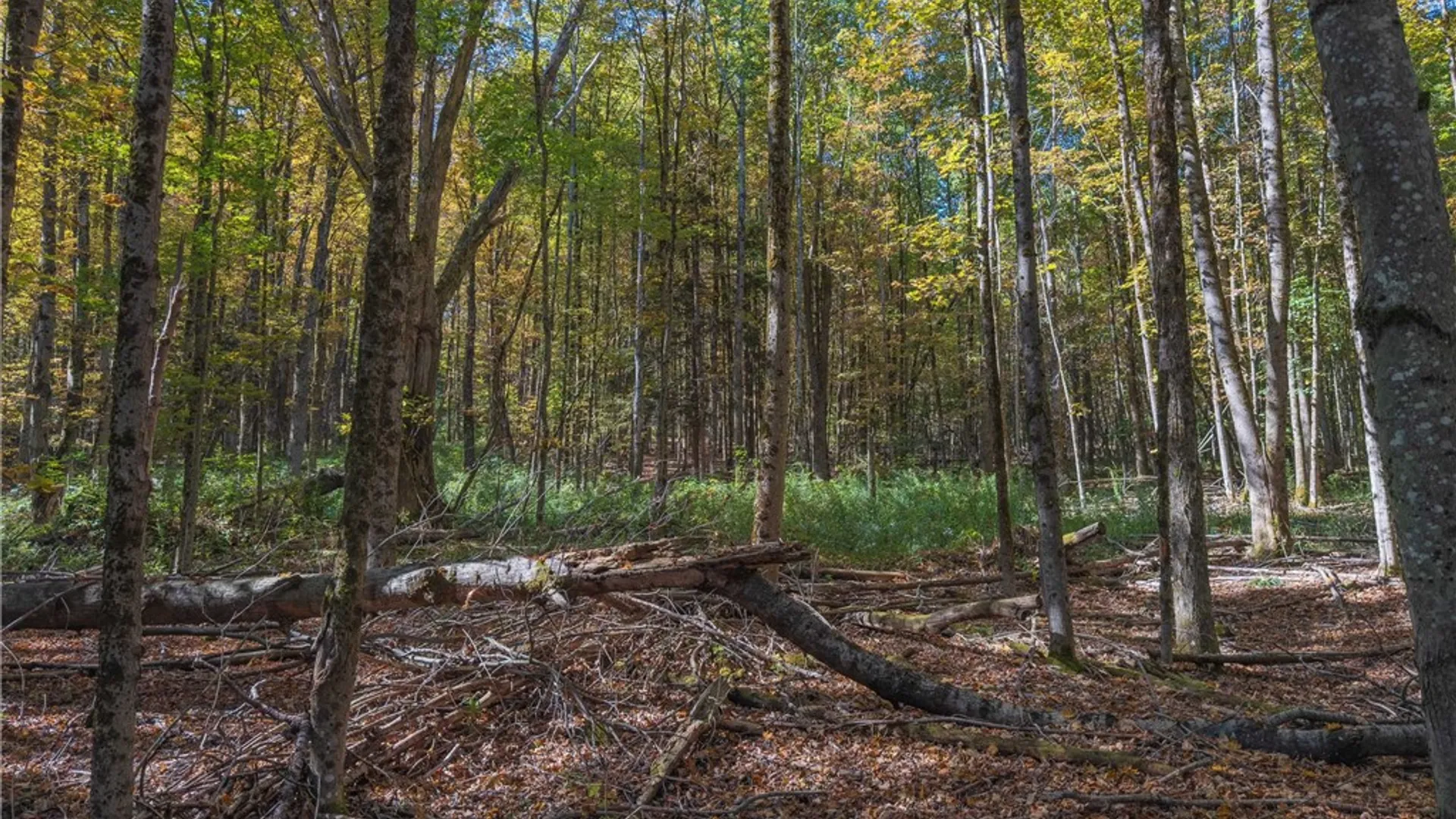 Property at Reservoir Hill Road, Plymouth, NY 13844 21