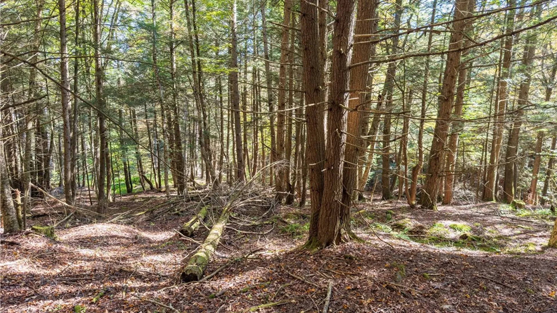 Property at Reservoir Hill Road, Plymouth, NY 13844 22