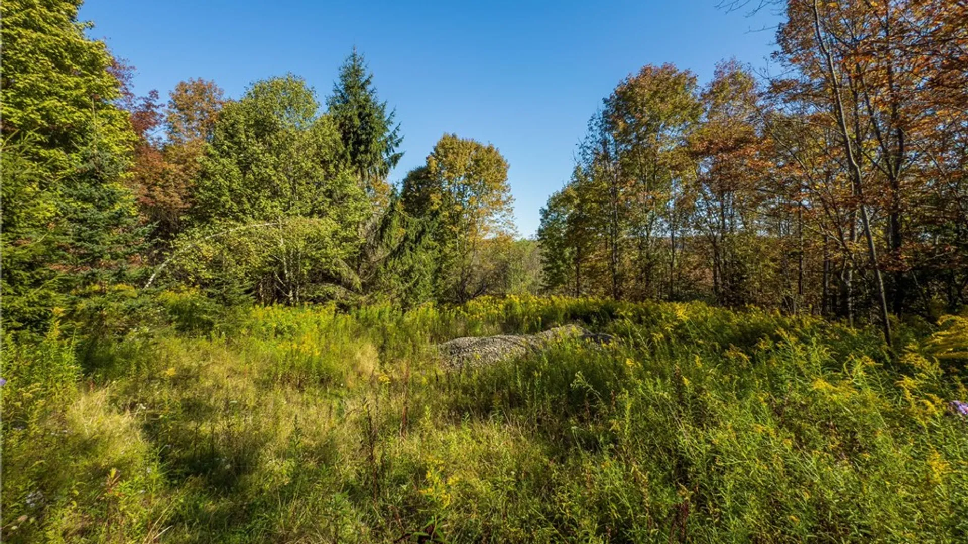 Property at Reservoir Hill Road, Plymouth, NY 13844 24