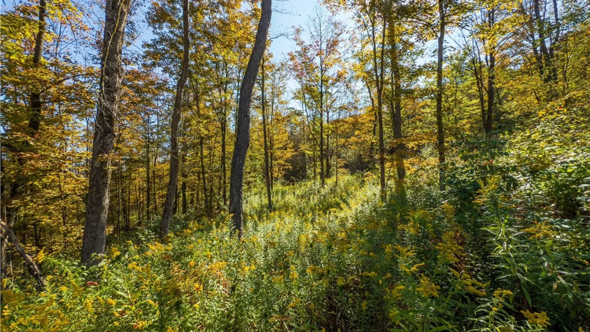 Property at Reservoir Hill Road, Plymouth, NY 13844 25