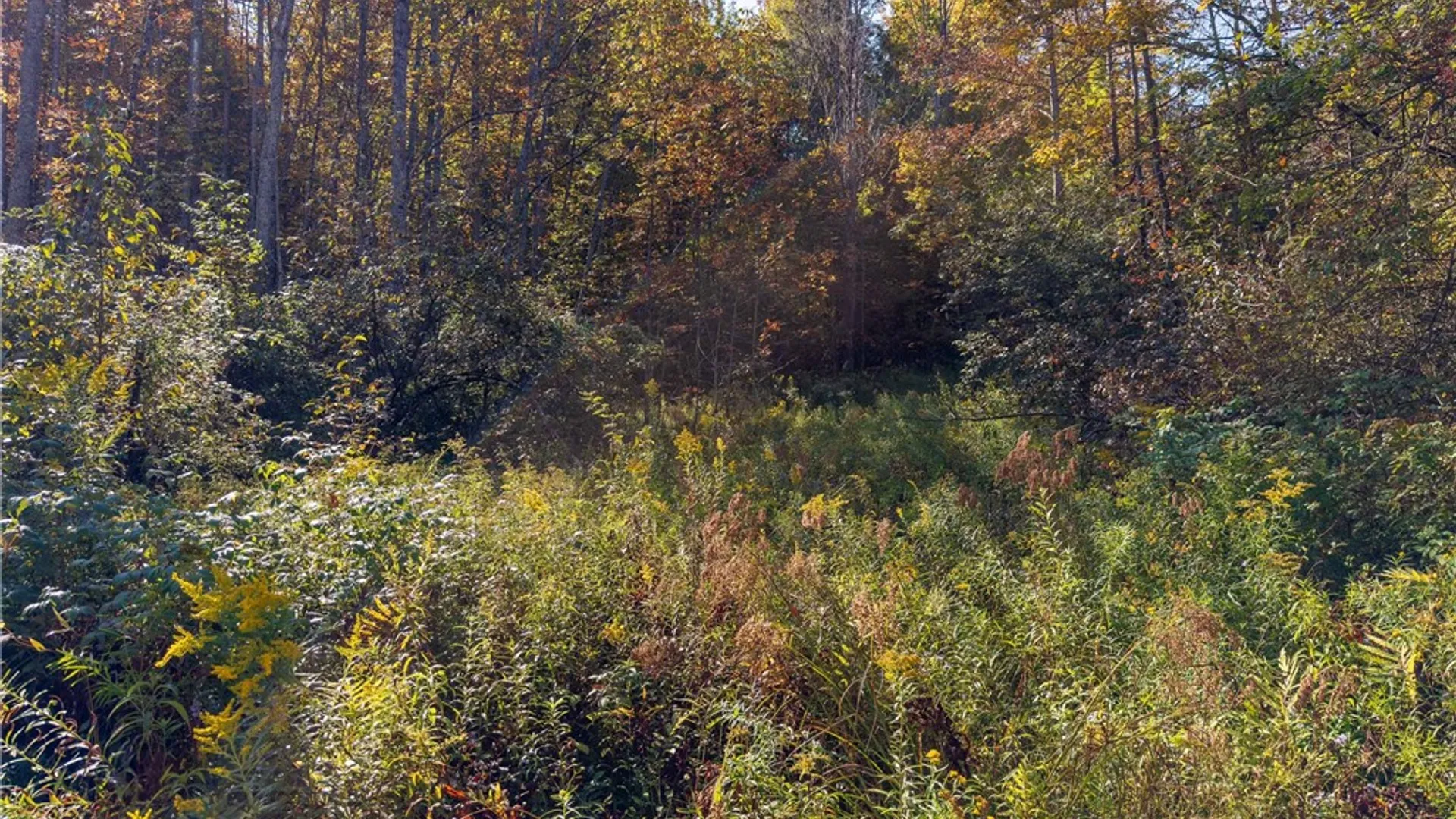 Property at Reservoir Hill Road, Plymouth, NY 13844 26