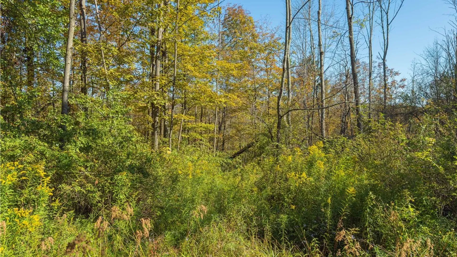 Property at Reservoir Hill Road, Plymouth, NY 13844 27